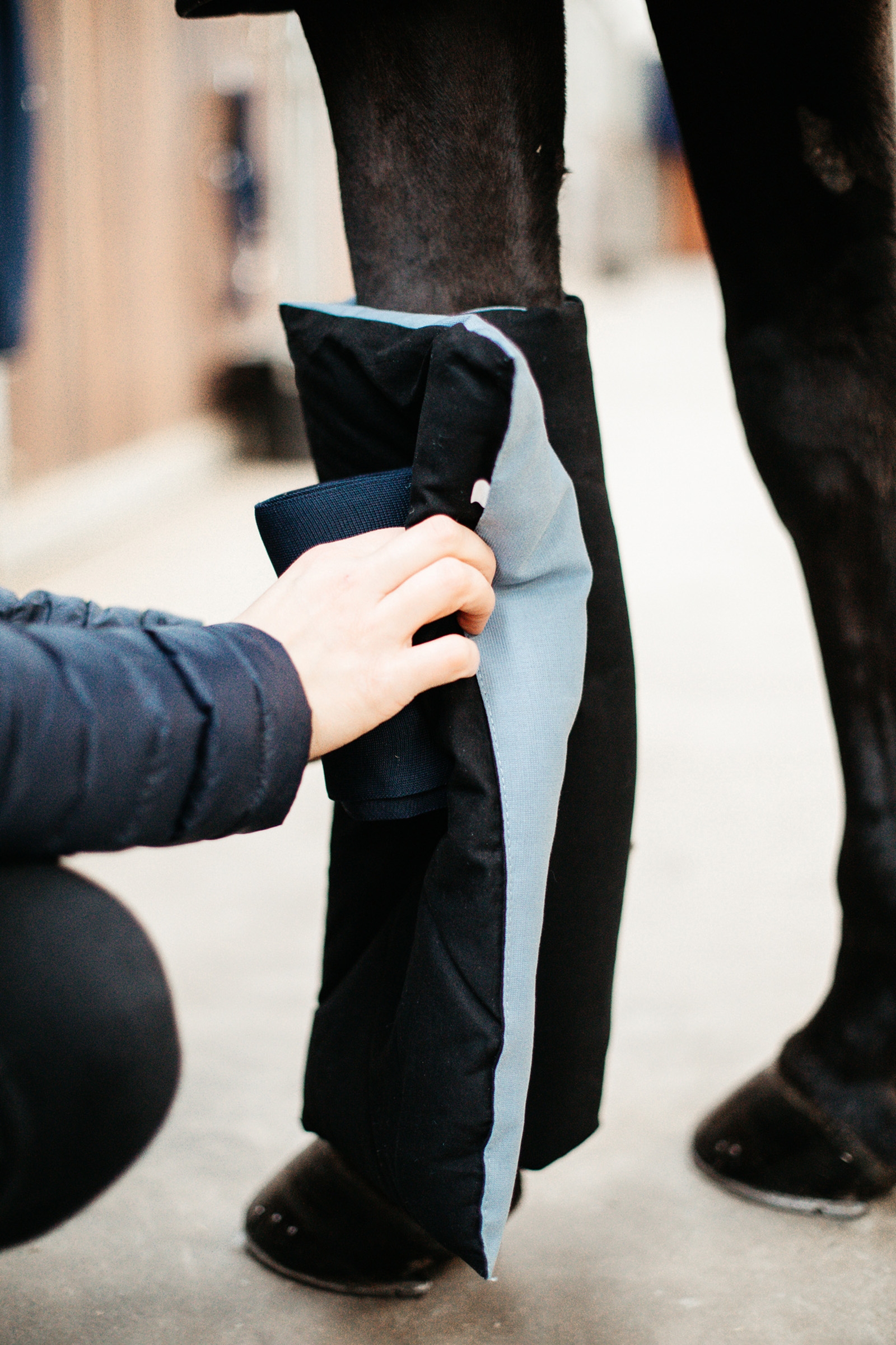 Fasce da lavoro Recuptex/Texishield Kentucky Horsewear