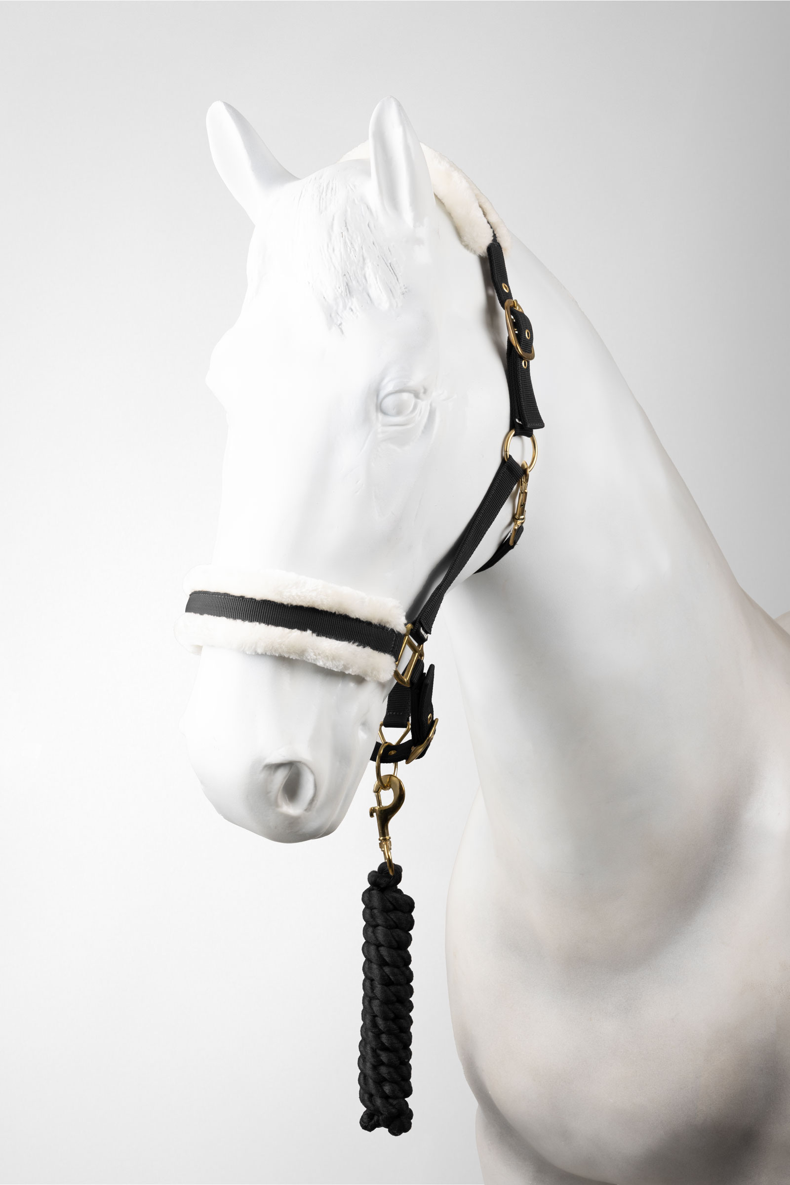 Black Horze cavezza e longhina set