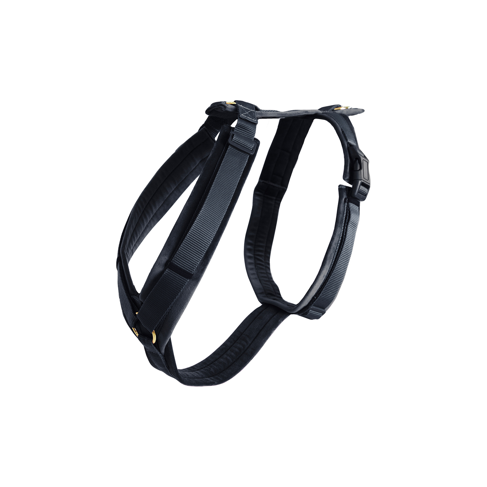 Black Kentucky Dogwear Pettorina Velvet Active