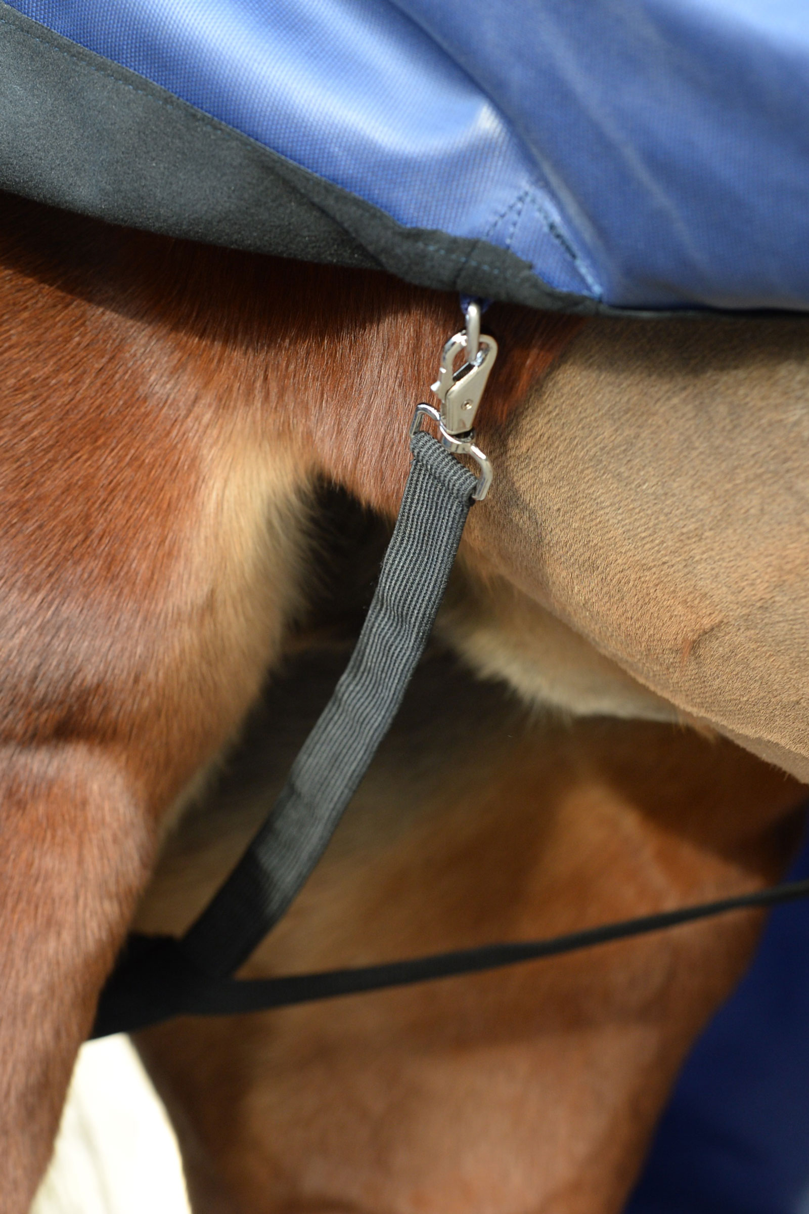 Bucas Smartex Medium coperta da turnout, 150g