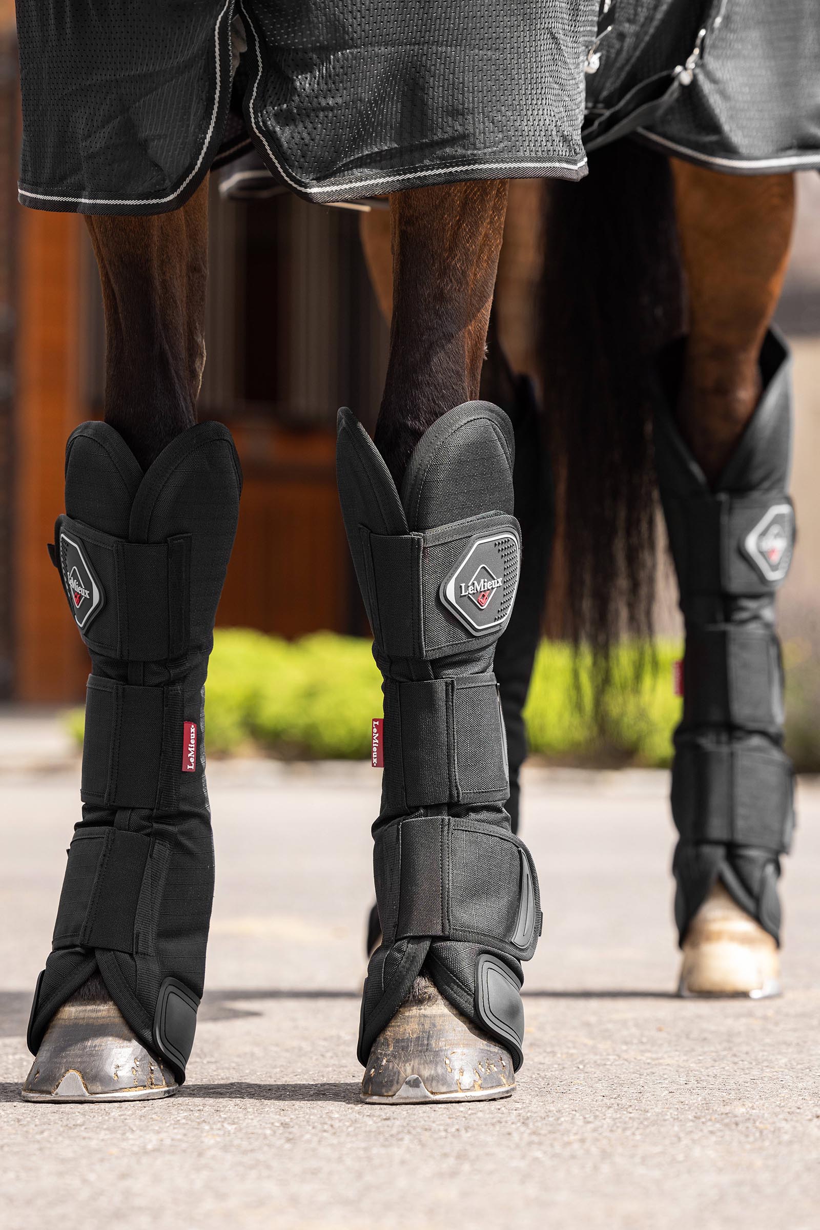 LeMieux stinchiere da trasporto