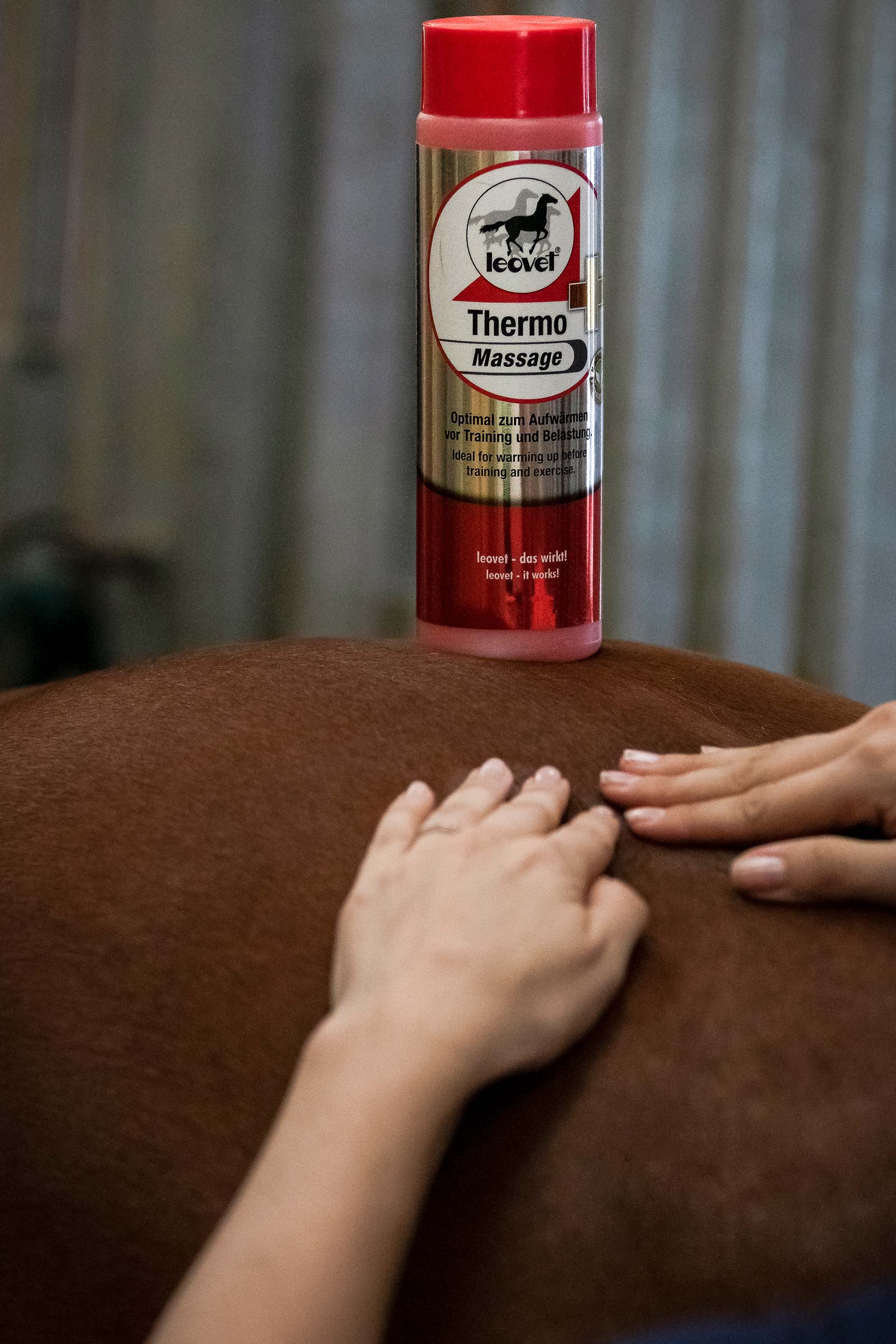 Leovet Thermo-Massage