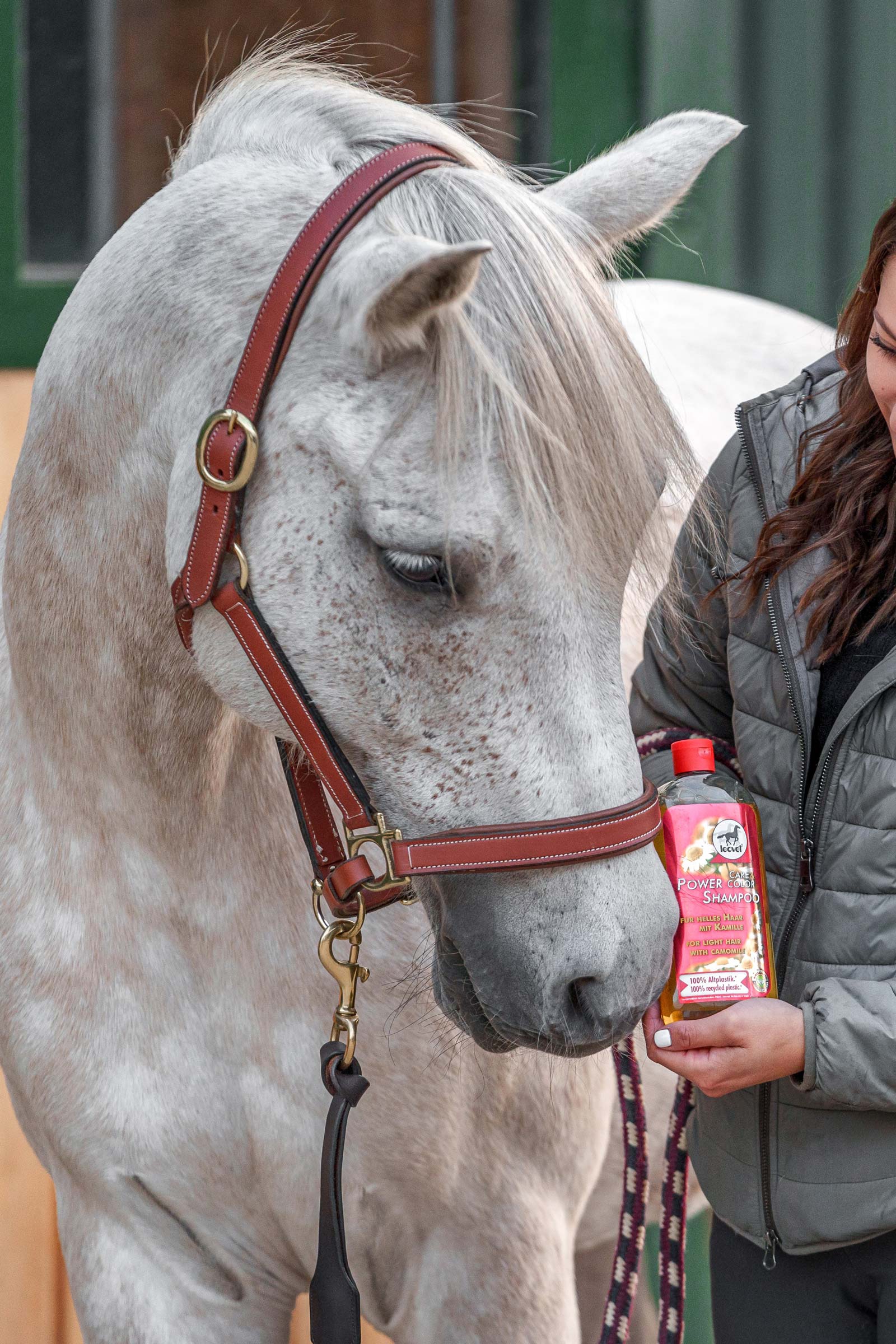 Leovet Power Shampoo Camomilla per capelli chiari