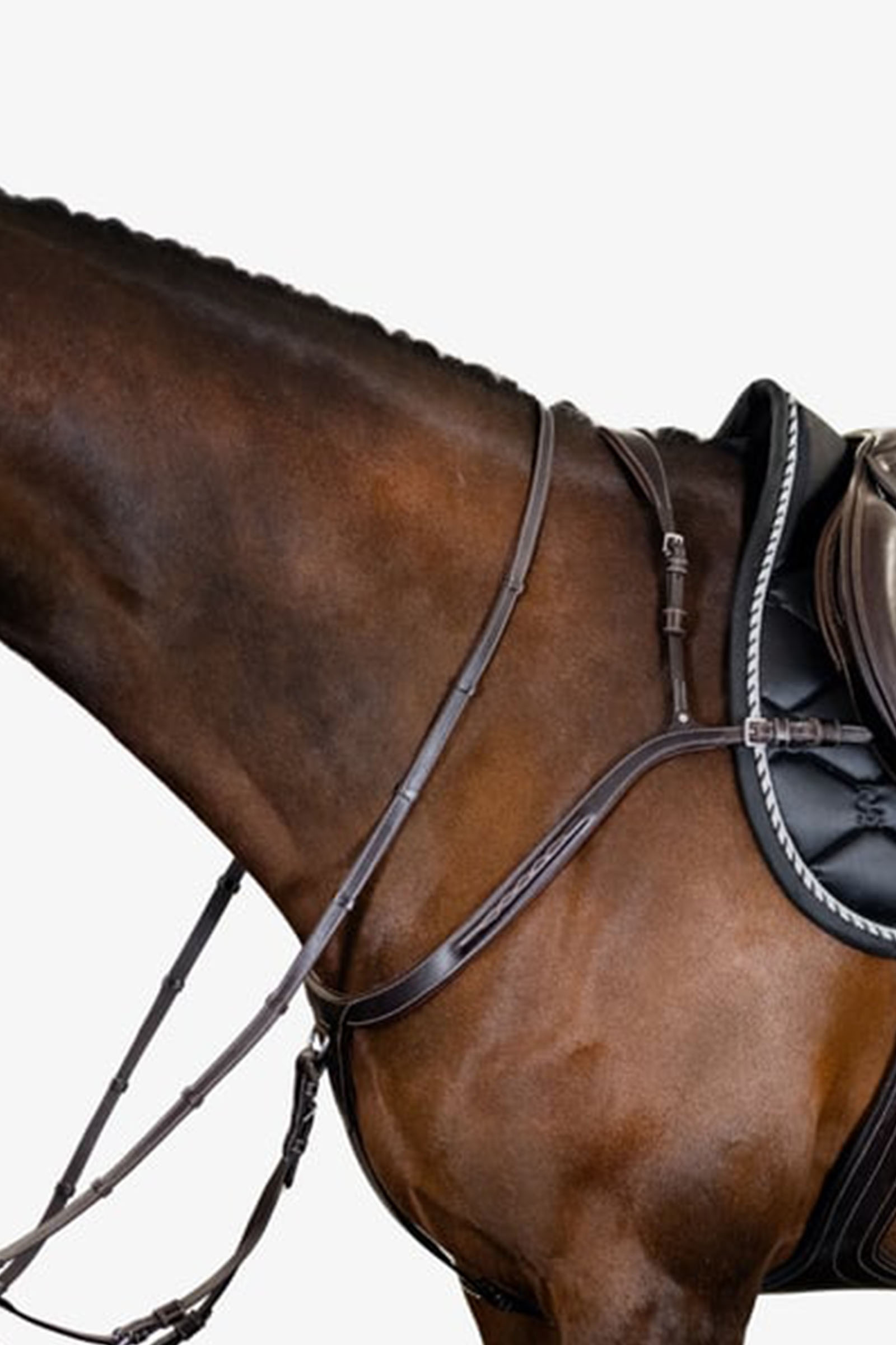 PS of Sweden pettorina Tokyo