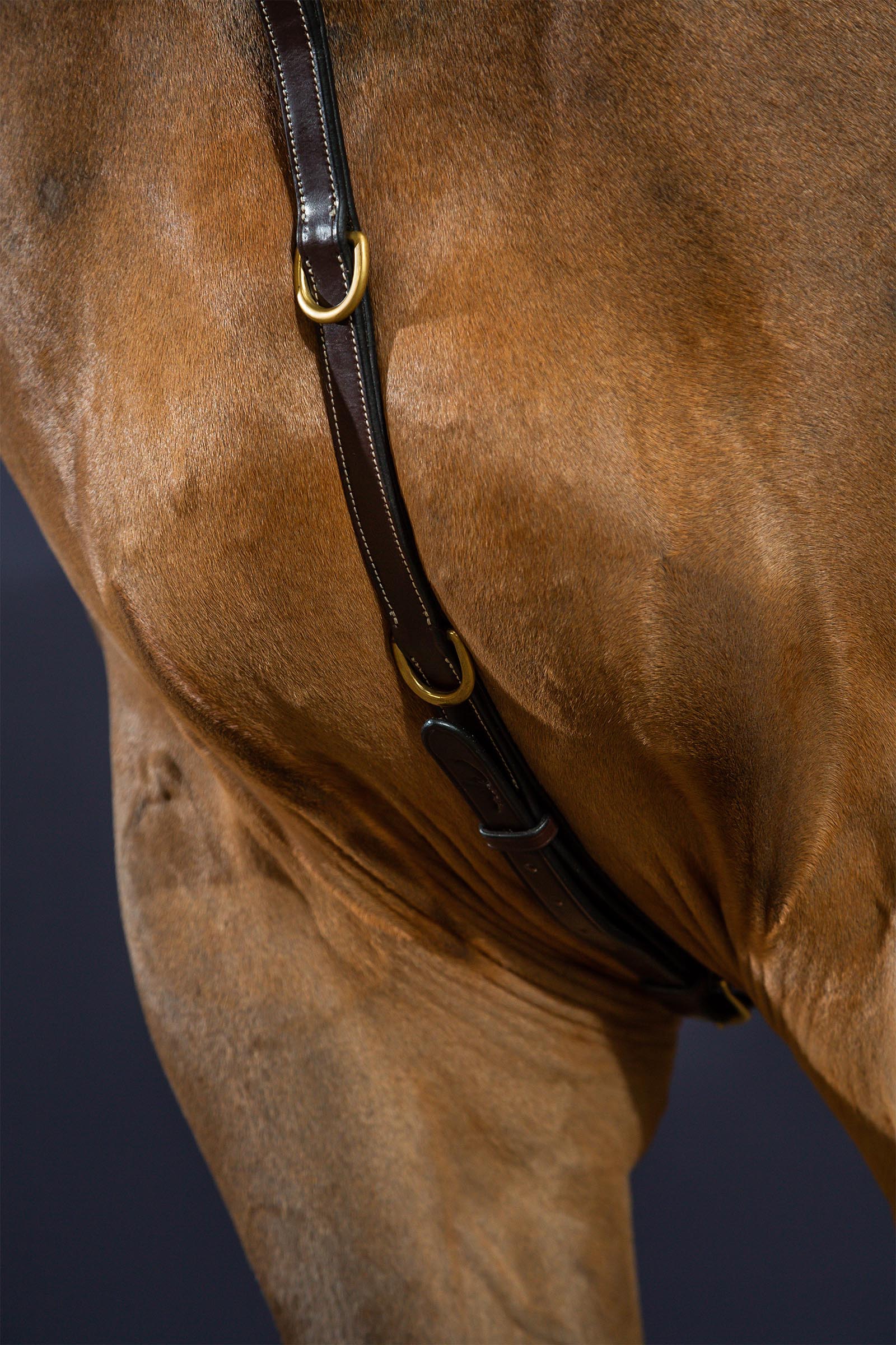 Dy'on D Collection pettorale con ponte