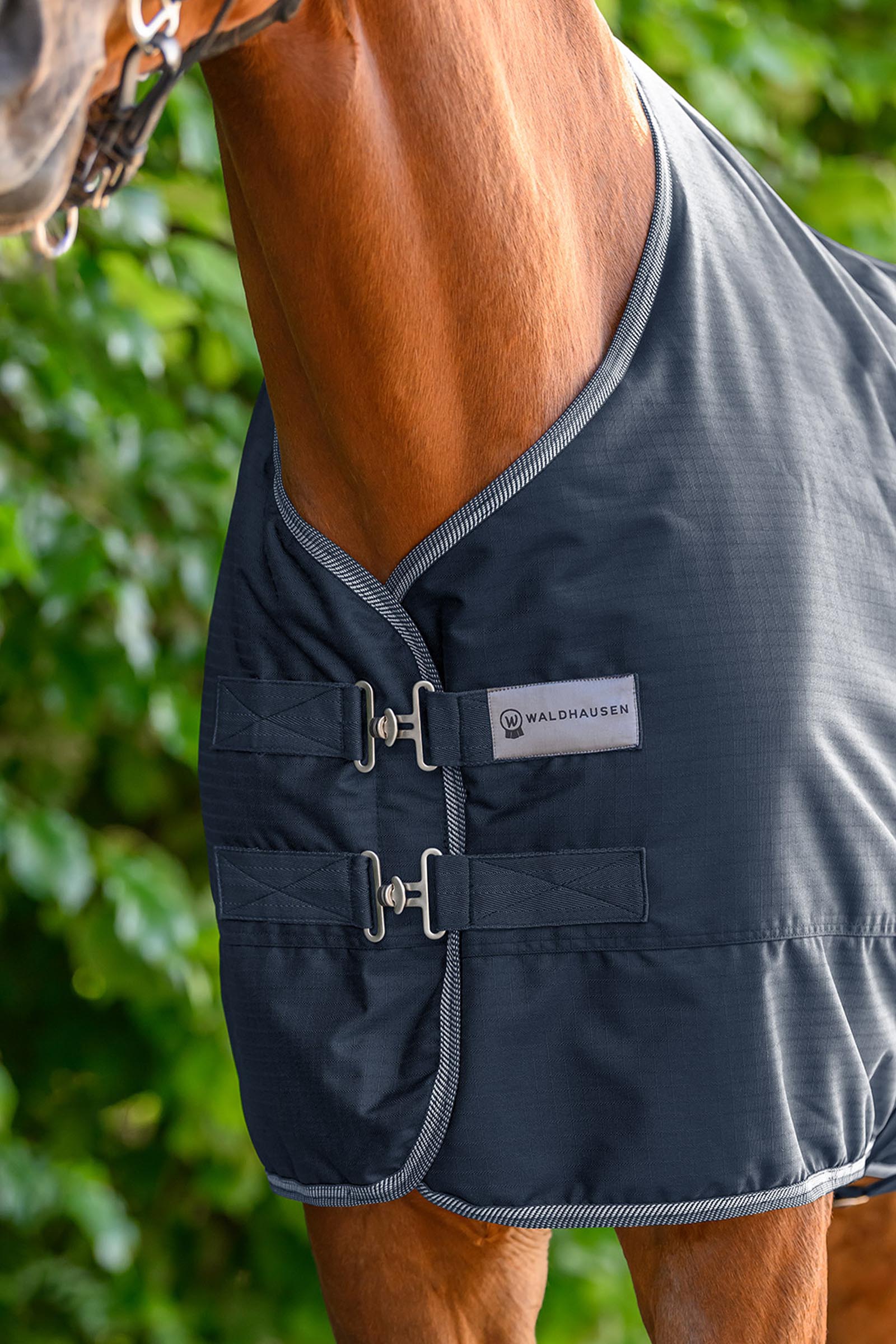 Waldhausen ECONOMIC coperta outdoor, 100g