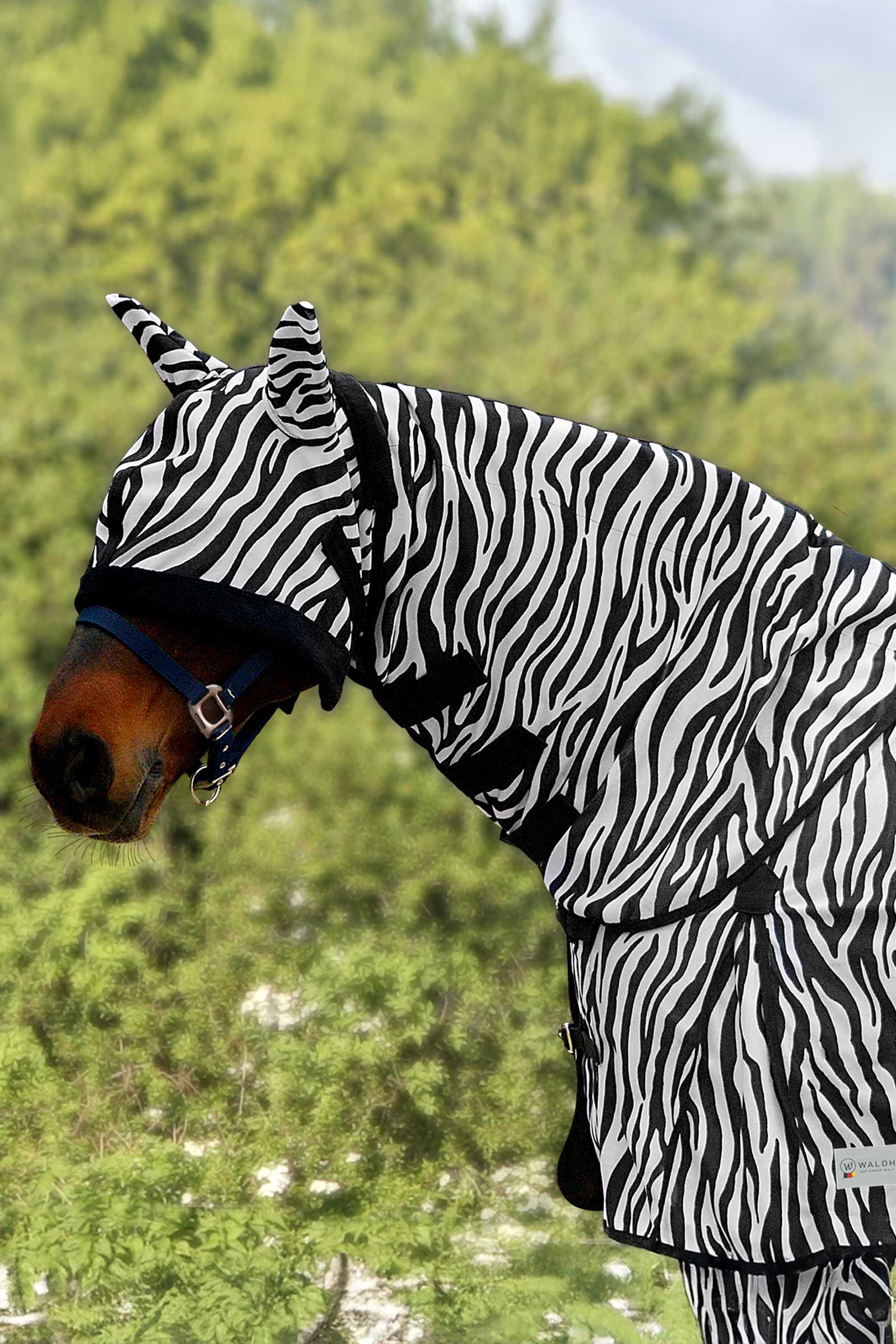 Waldhausen Zebra protezione collo antimosche