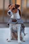 Cappotto per cani Kentucky Dogwear riflettente e idrorepellente