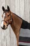 Kentucky Horsewear Coperta in pile pesante
