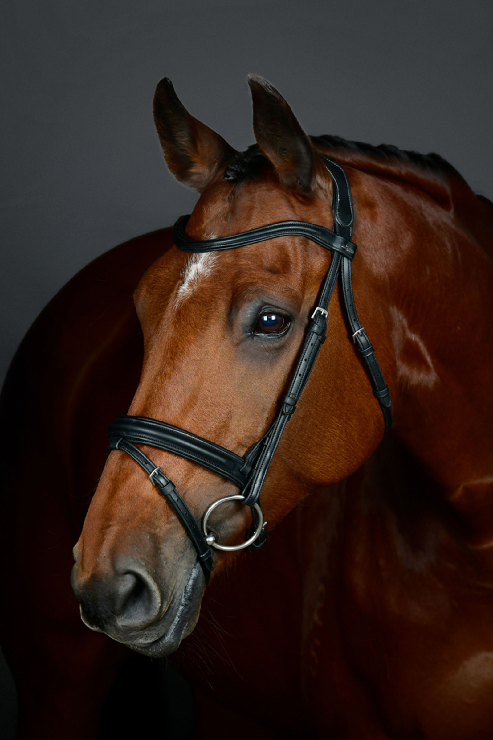 Black Collegiate Comfitec Opulux testiera semplice imbottita con capezzina combinata hannoveriana