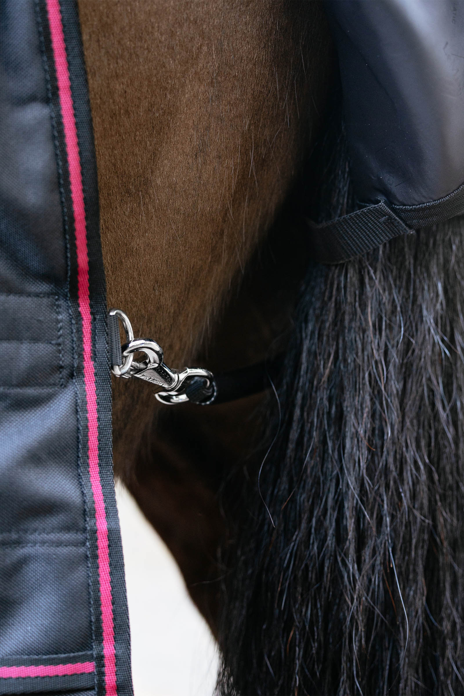 LeMieux Arika Storm-Tek coperta da paddock con collo rimovibile, 50 g