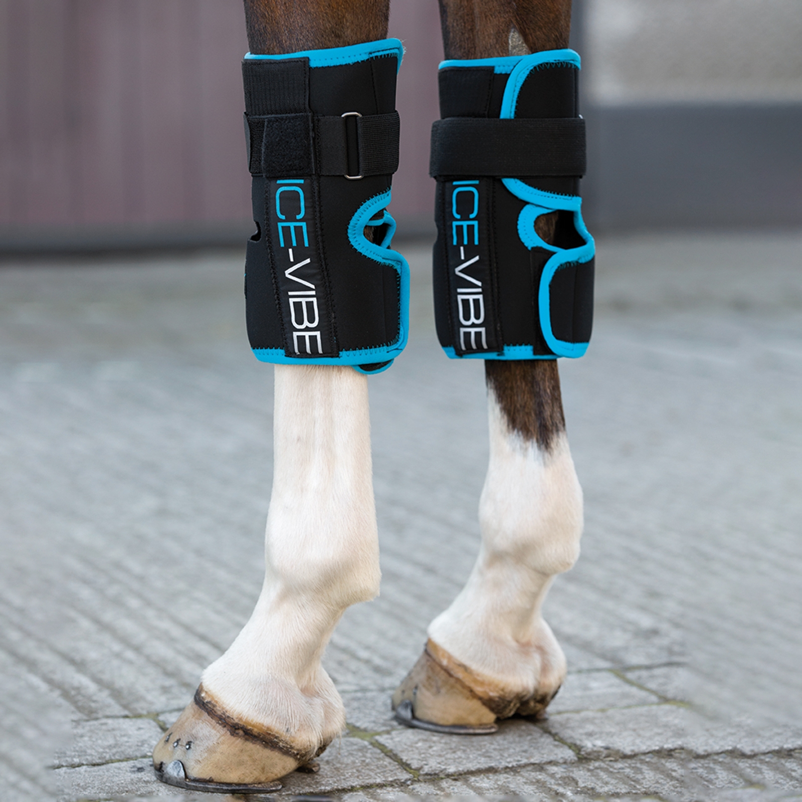 Horseware Ice-Vibe Knee Wrap