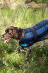 Back on Track Cool On Track cappotto per cane 2.0
