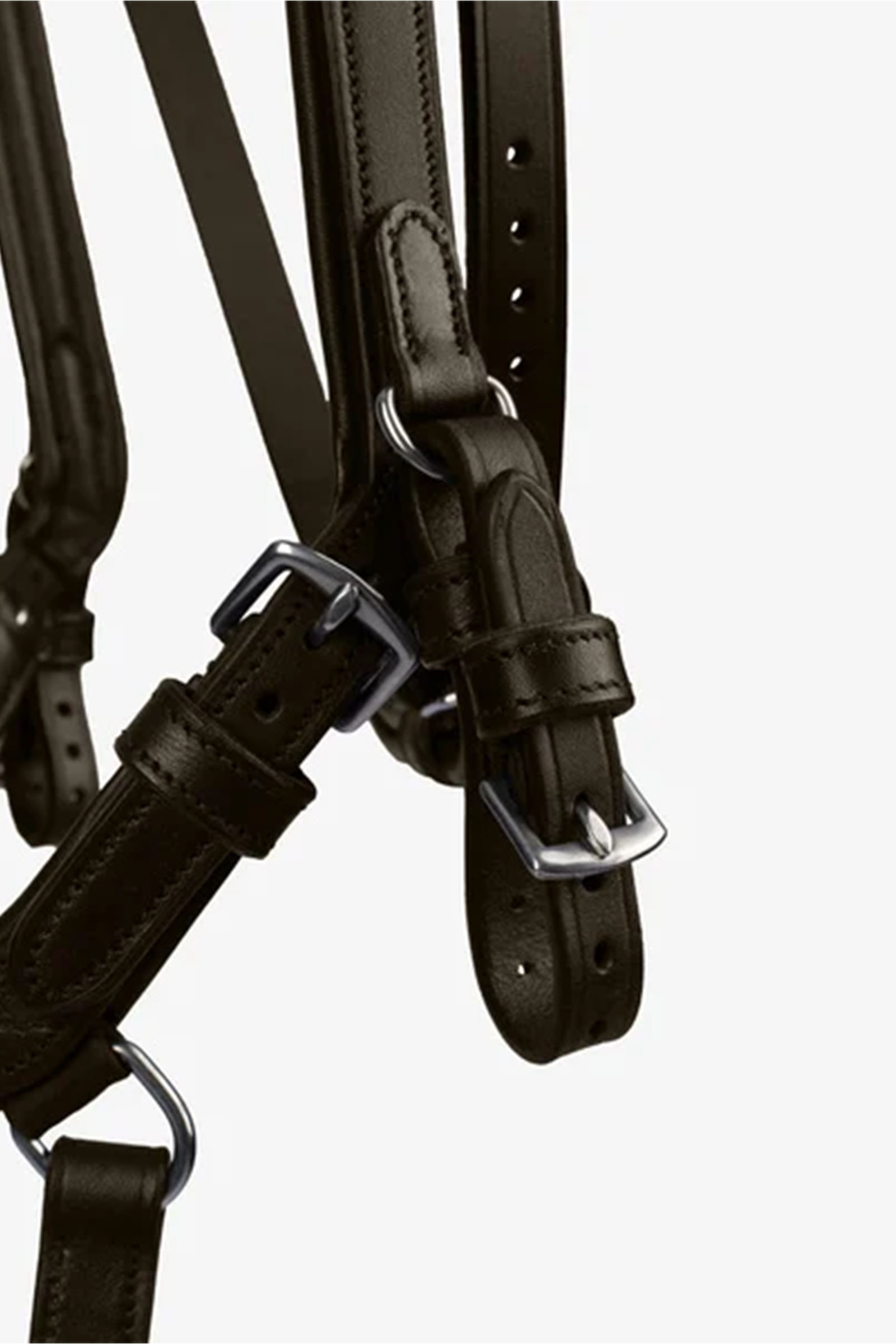 PS of Sweden Briglia King Edward