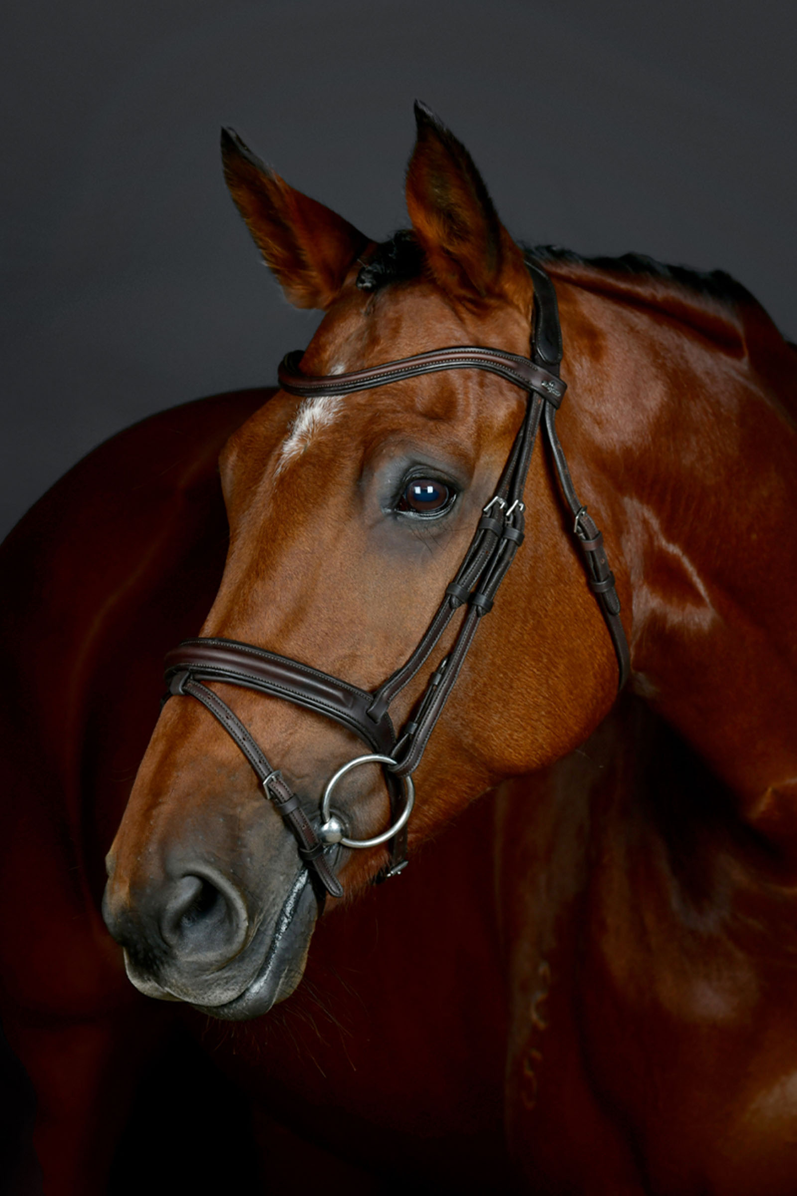 Collegiate Comfitec Opulux testiera semplice imbottita con capezzina combinata hannoveriana