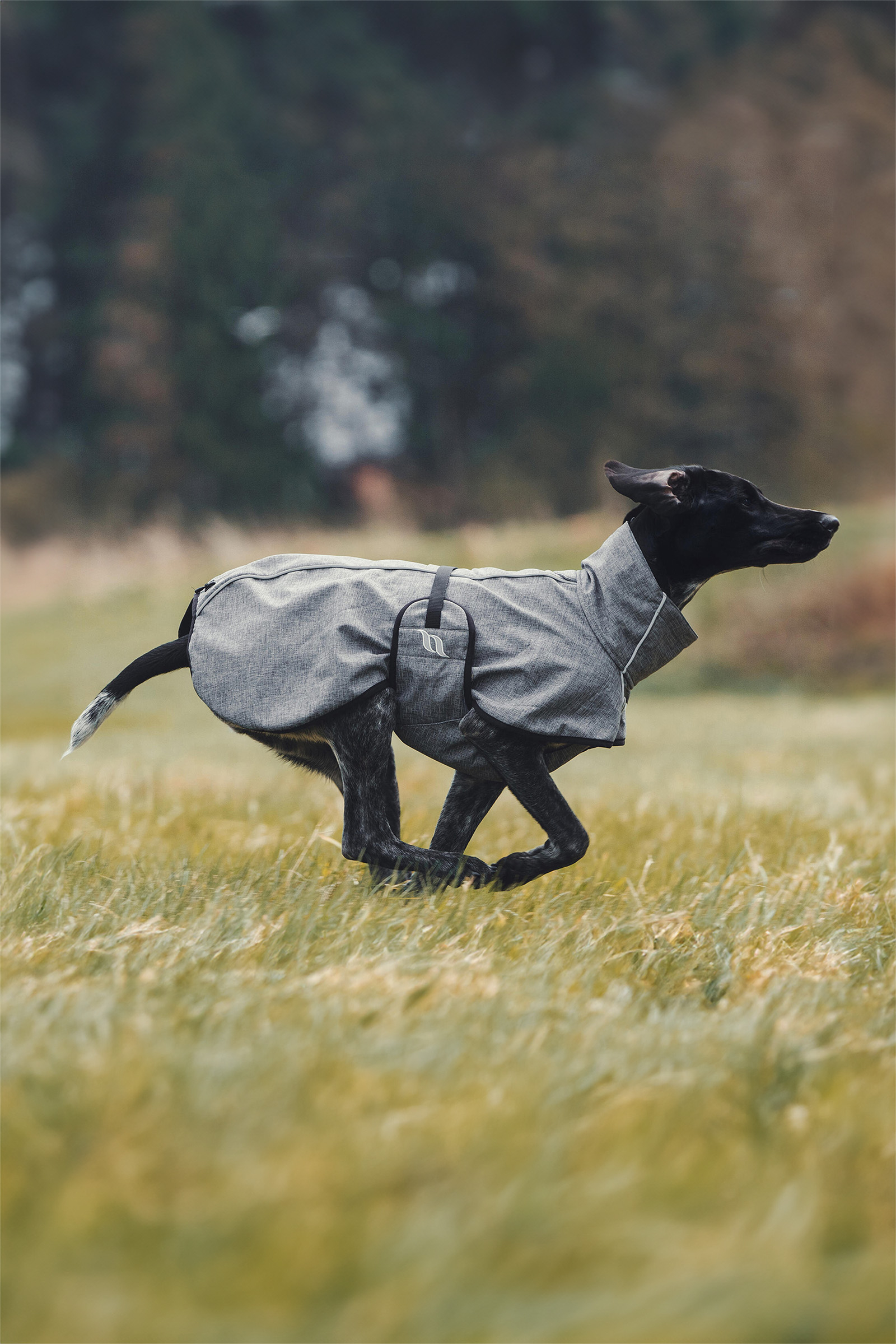 Back on Track Bark Cappottino per cani, 40-50 cm