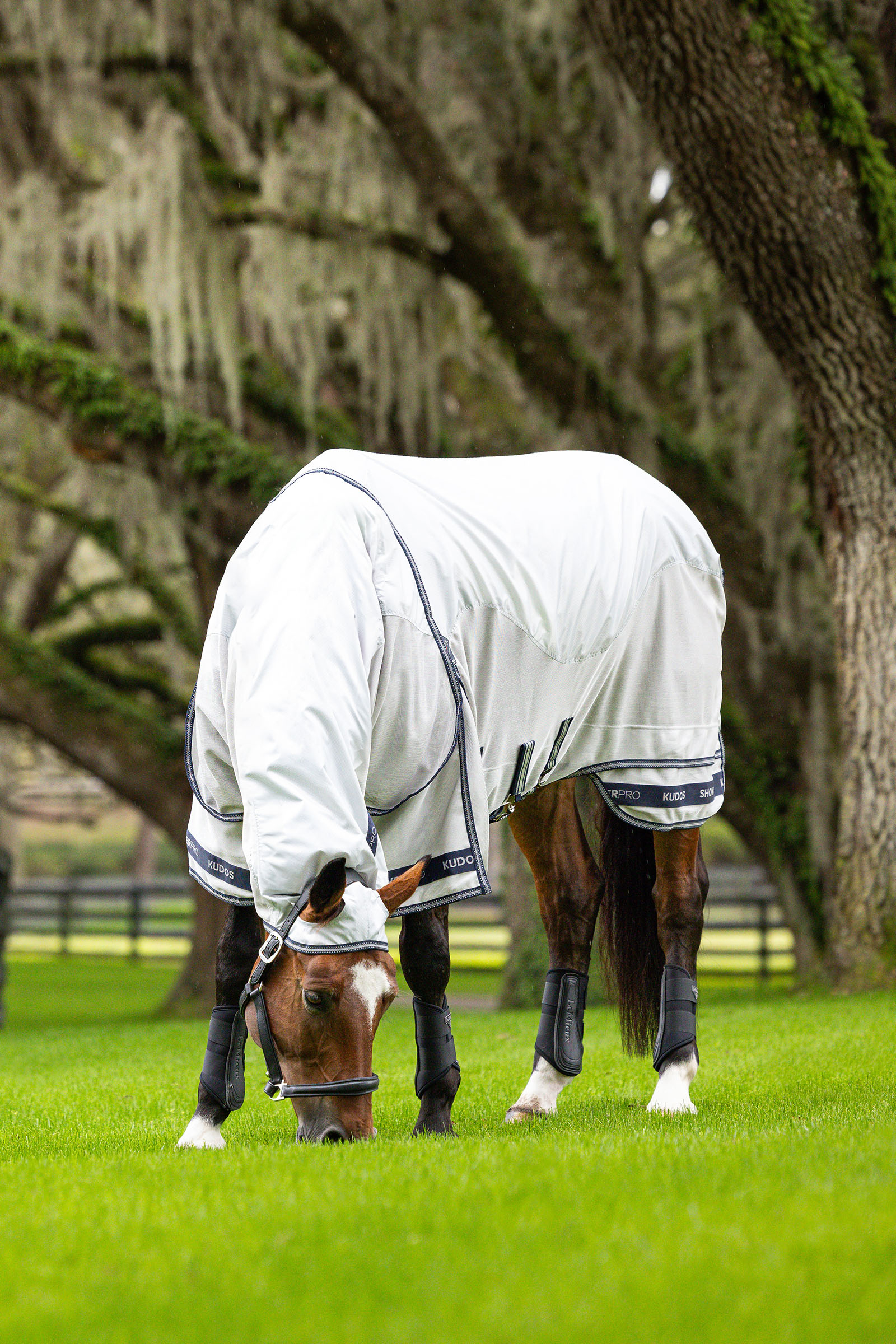 LeMieux Kudos Shower Pro coperta antimosche impermeabile