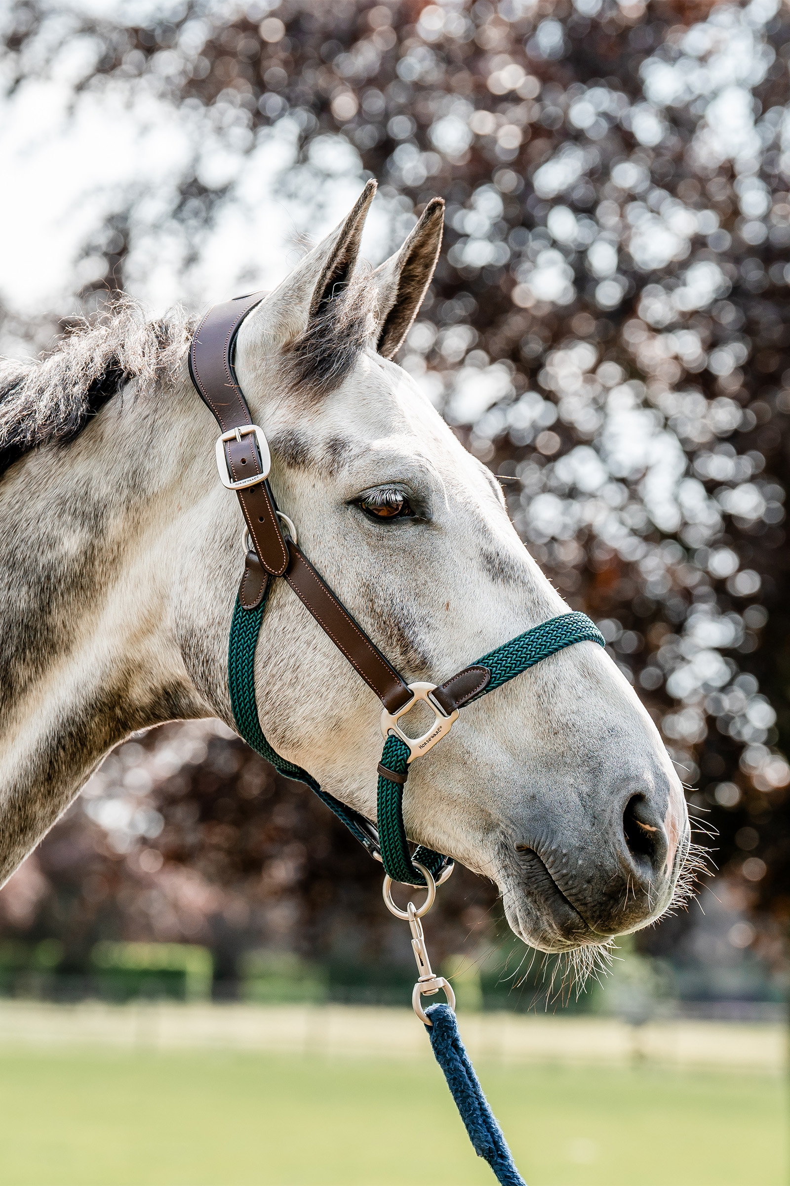 Cavezza intrecciata Horseware Signature