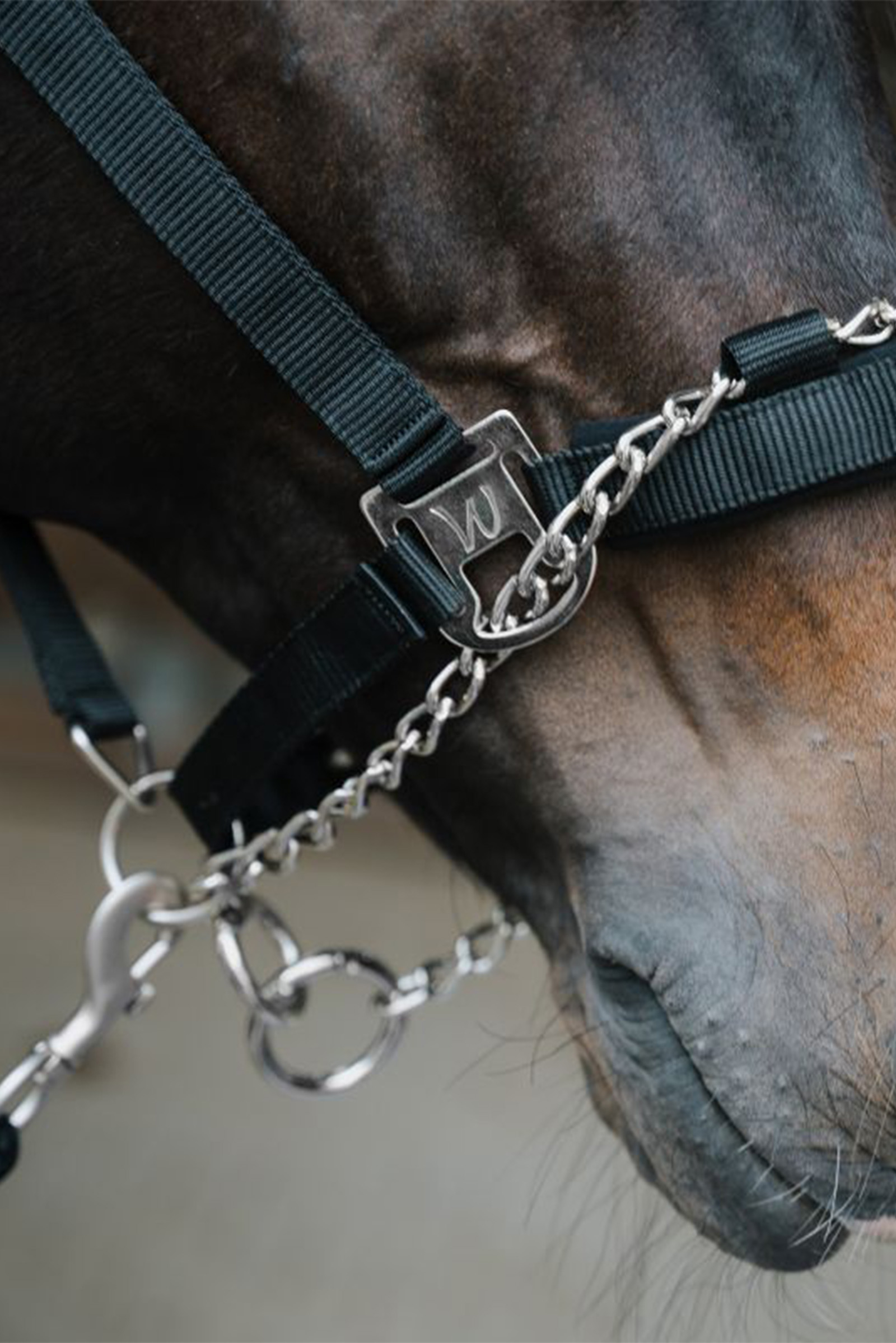 Cavezza di sicurezza Waldhausen Pro Safety