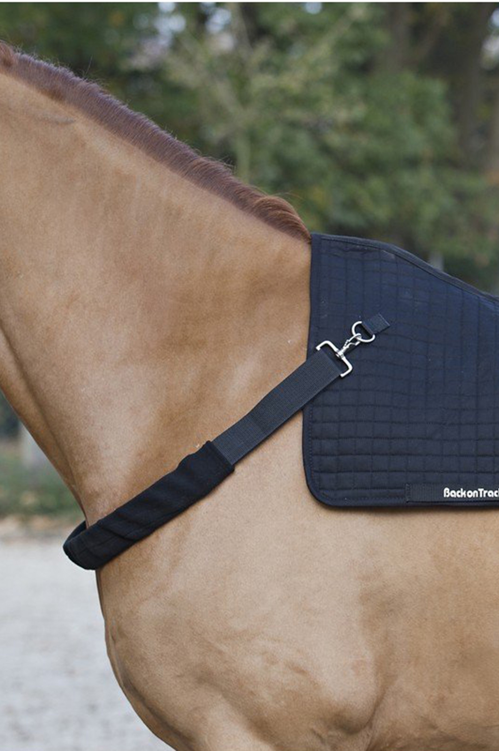 Finimento Back on Track