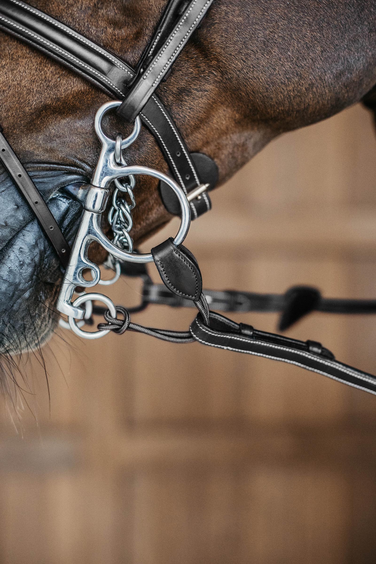 Dy'on cinturini pelham lunghi  