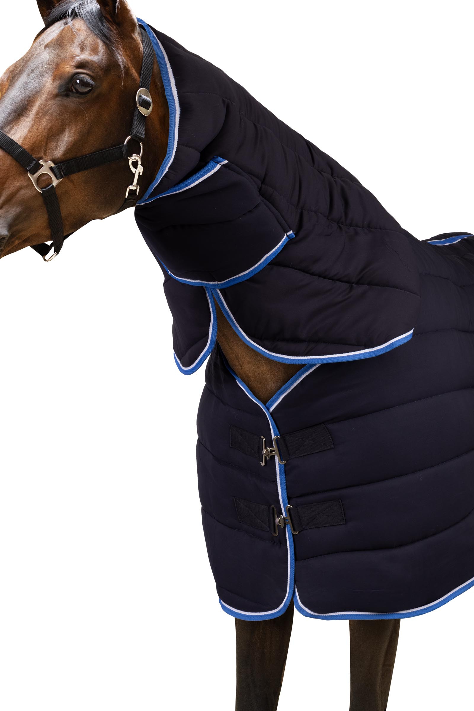 Horze Glasgow Coperta da scuderia/Sotto coperta con collo intero, 250 g