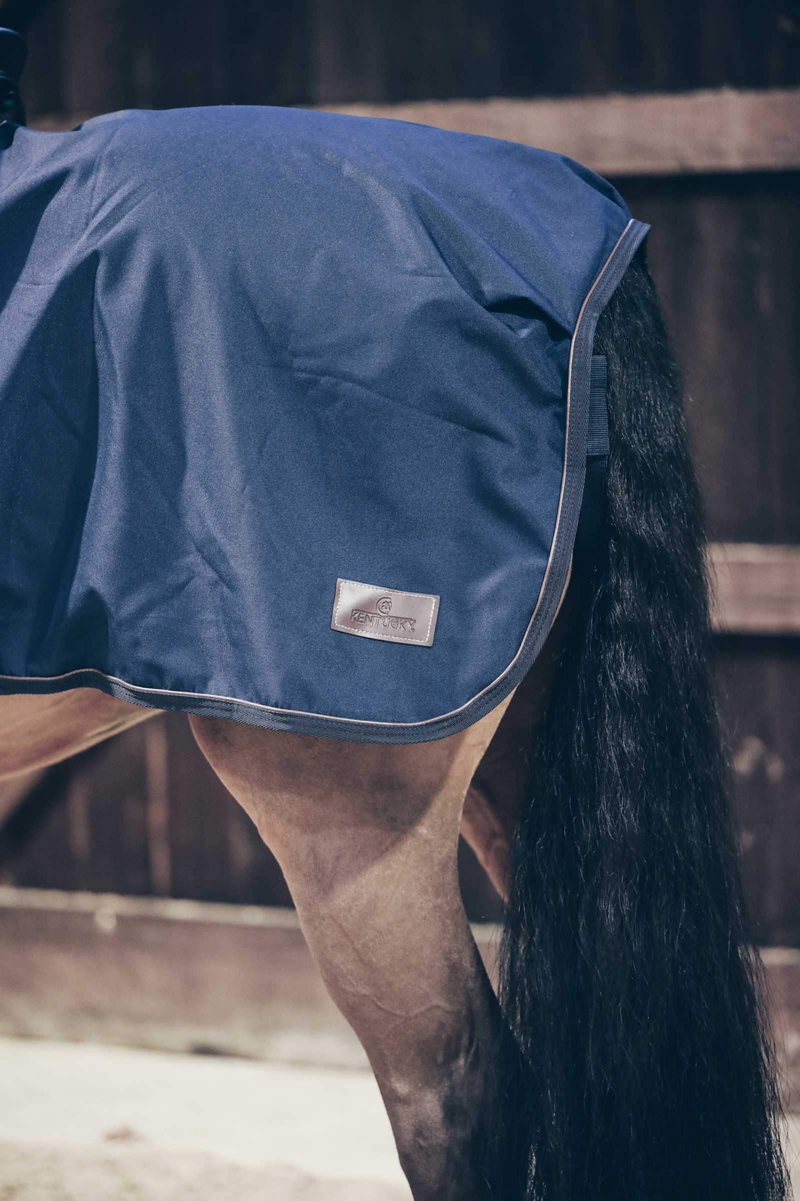 Kentucky Horsewear - Foglio per esercizi per tutte le stagioni, 160 g