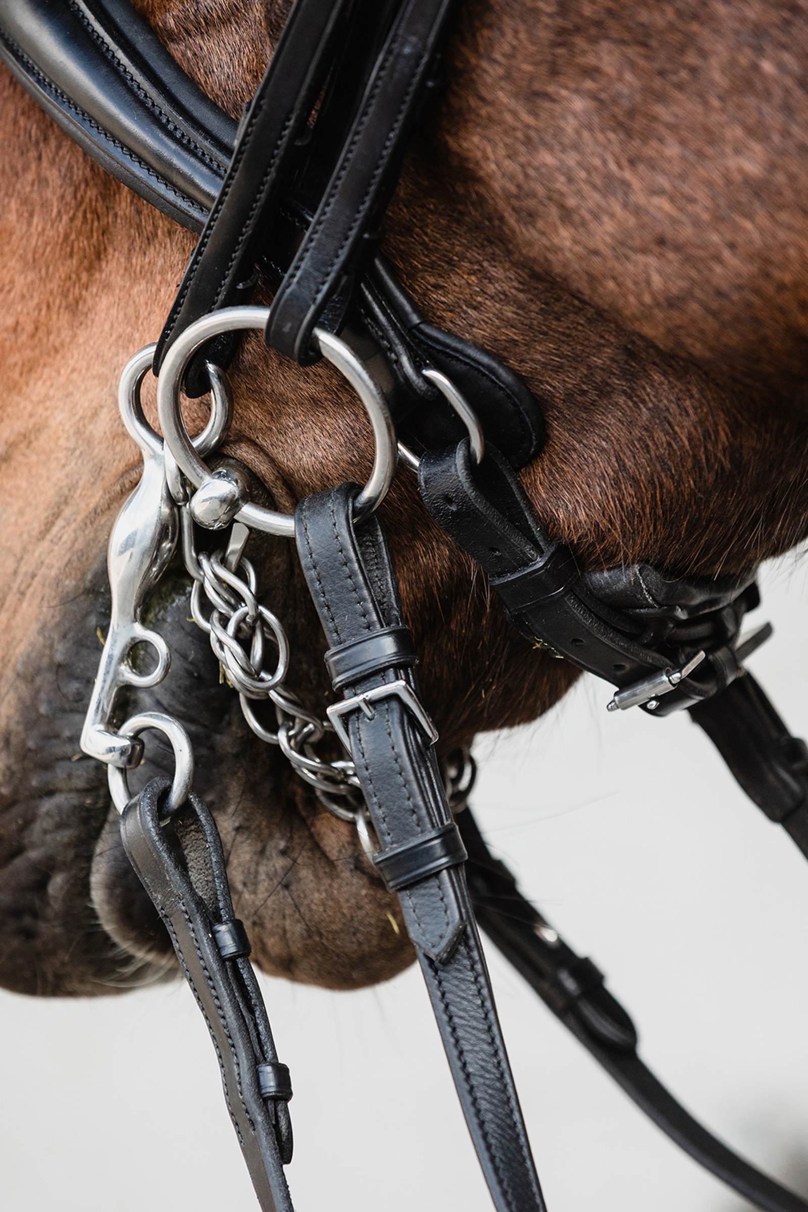 Briglia doppia anatomica Schockem&ouml;hle Sports Milton