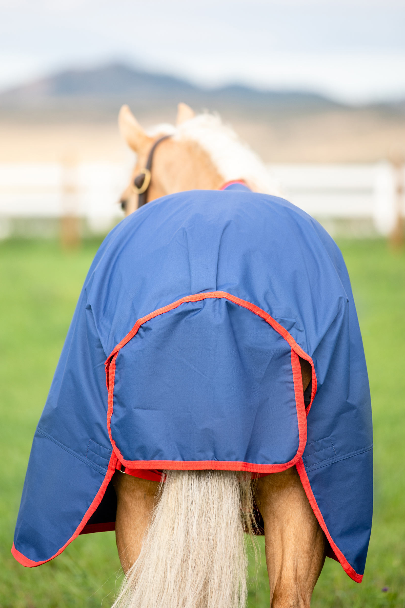 Horseware Mio coperta da turnout, 0g