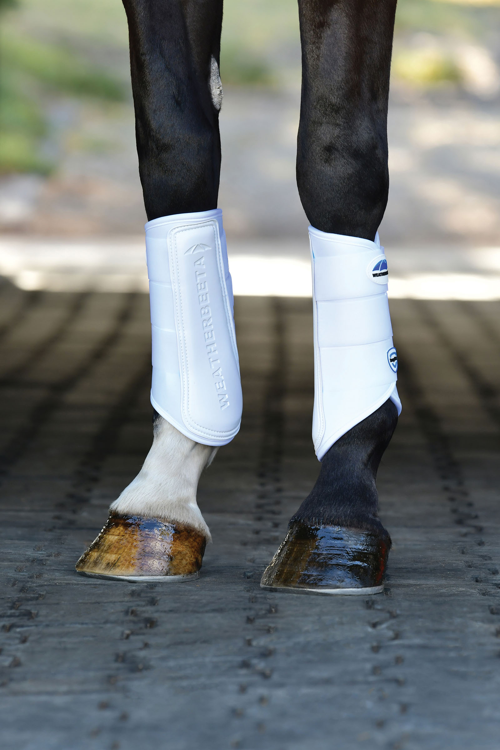 Weatherbeeta Tough-Tec Prime Stinchiere dressage