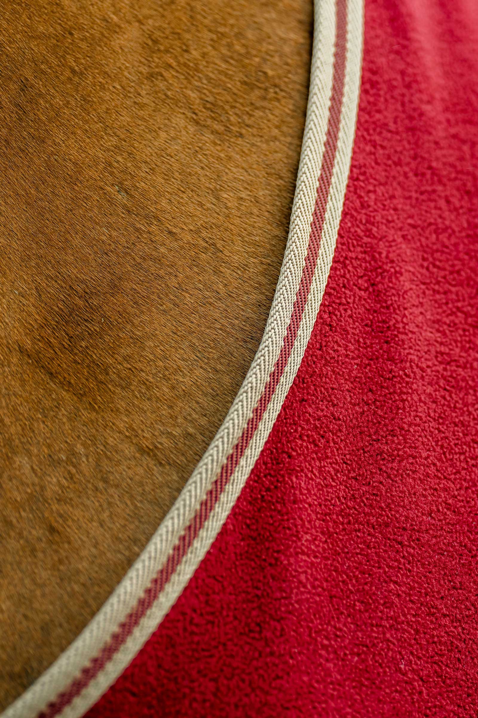 Horseware Amigo Coperta in Pile
