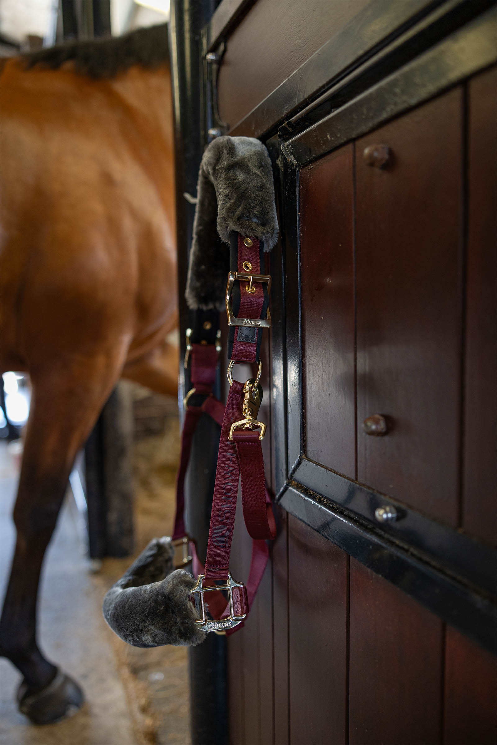 Bucas Show-Line Halter
