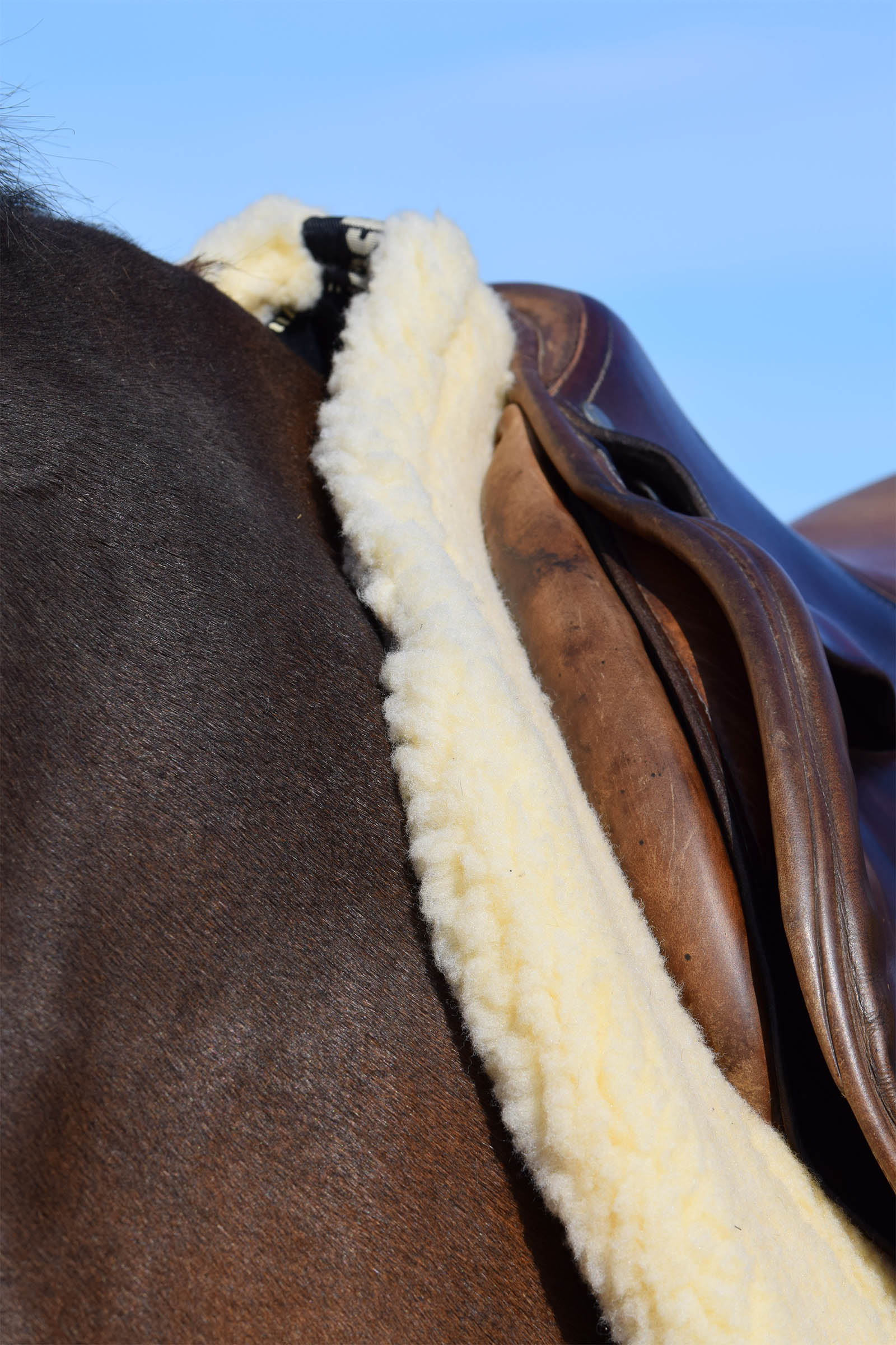 Back on Track Sottosella "Teddy"