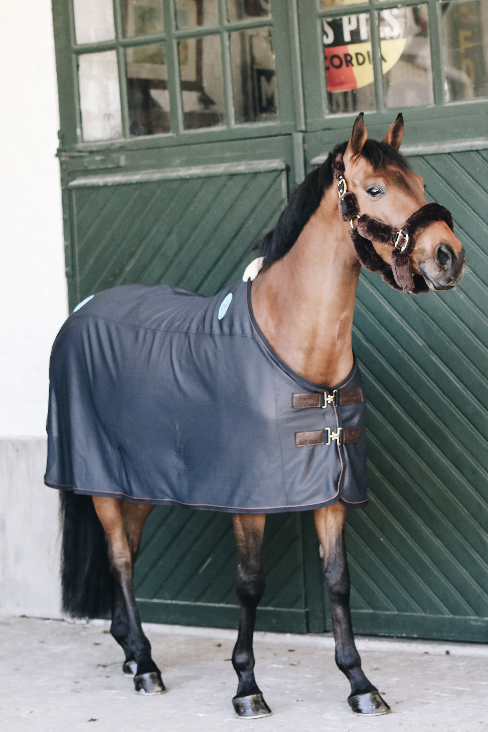 Tappeto magnetico Kentucky Horsewear Recuptex Magnetic