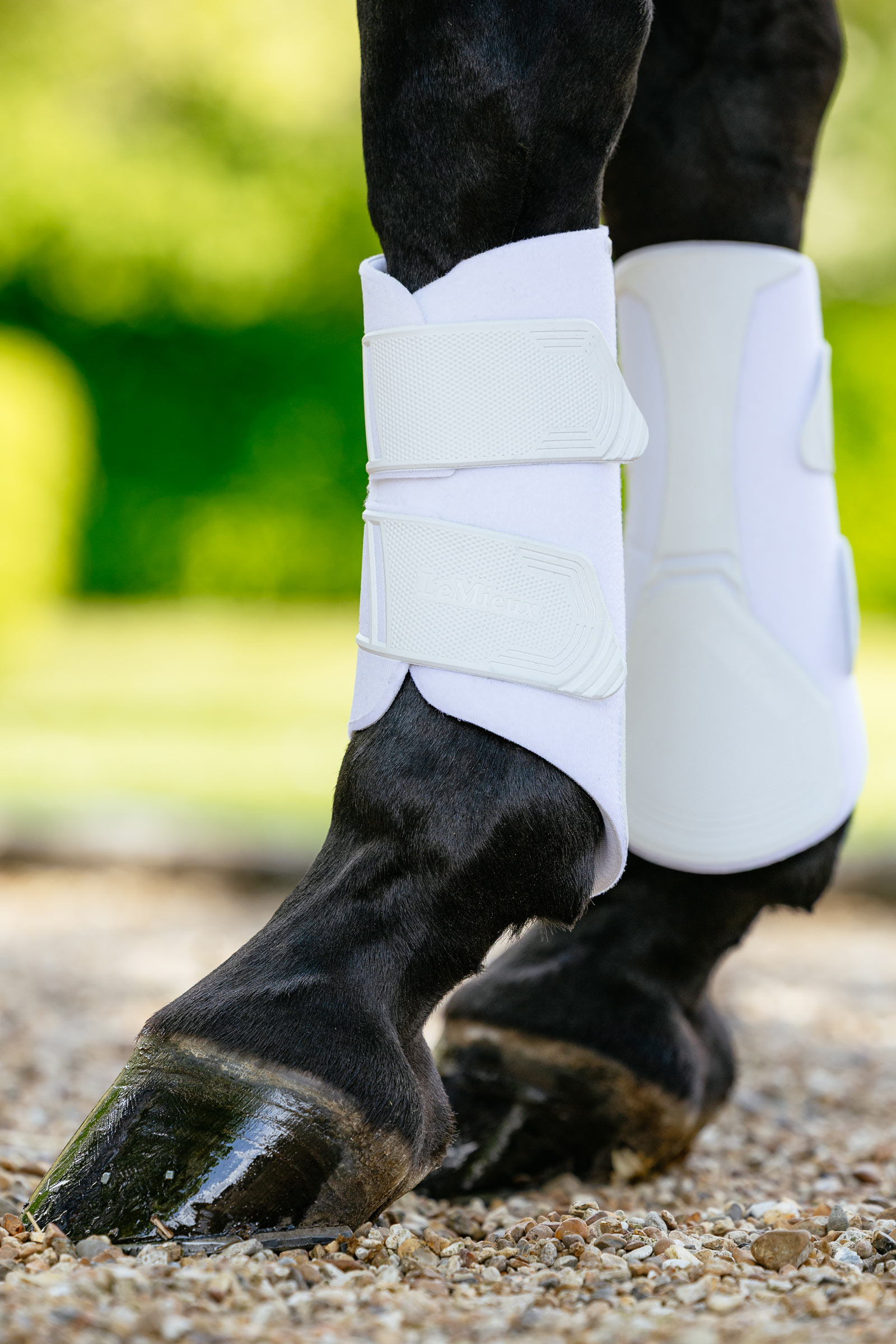 LeMieux Technical stinchiere dressage