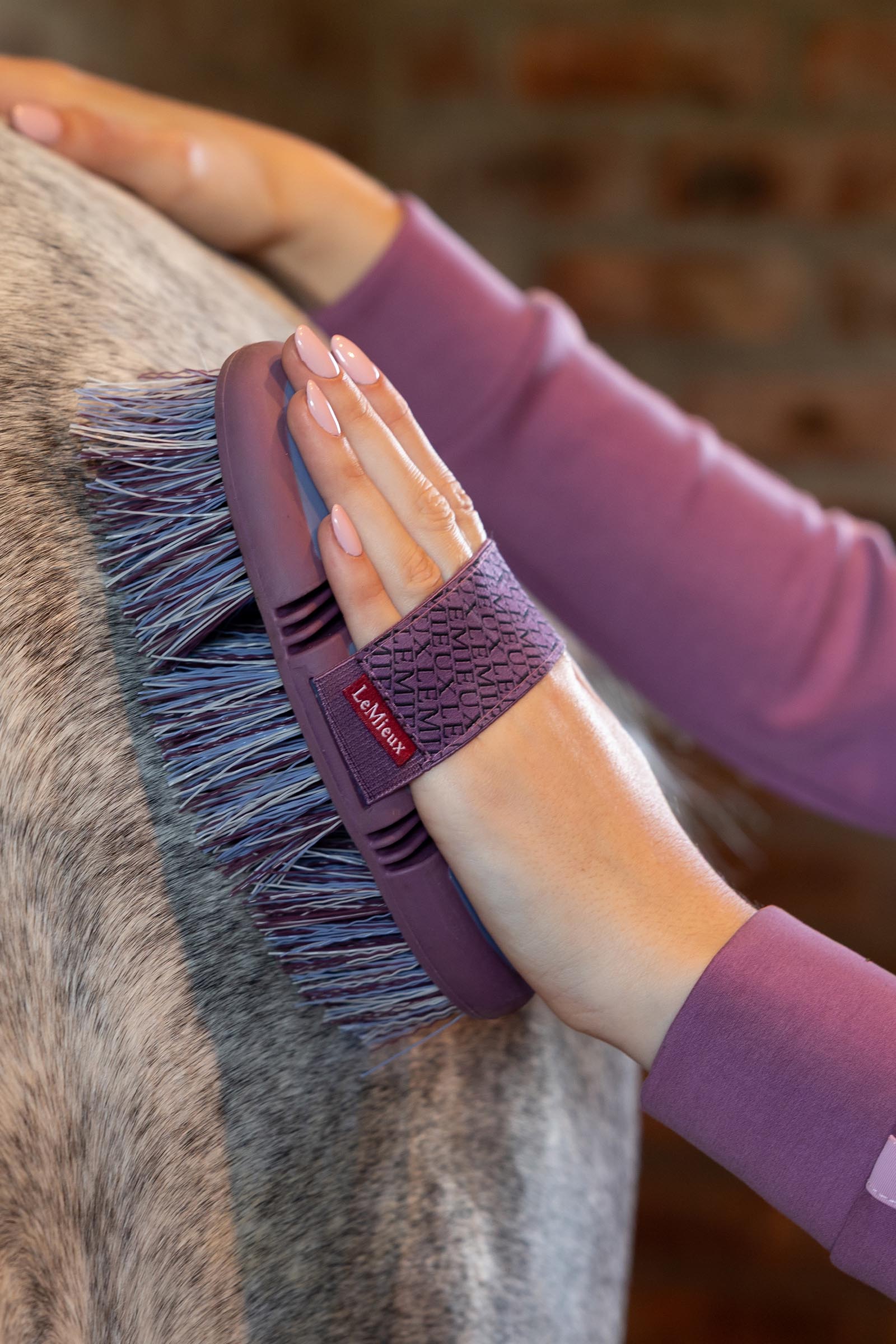 LeMieux Flexi Flicky spazzola