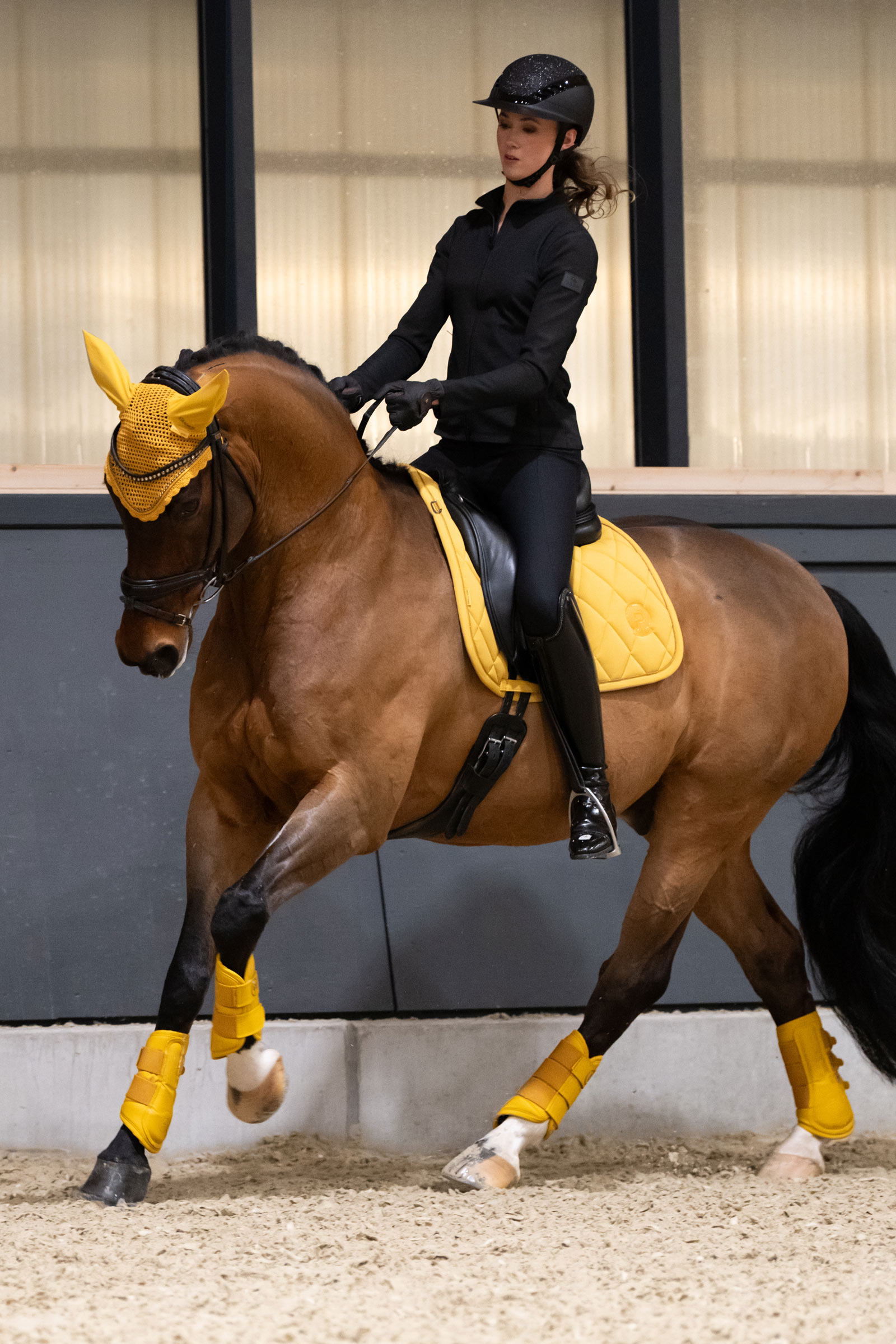 Eskadron Platinum 25 Paratendini in ecopelle