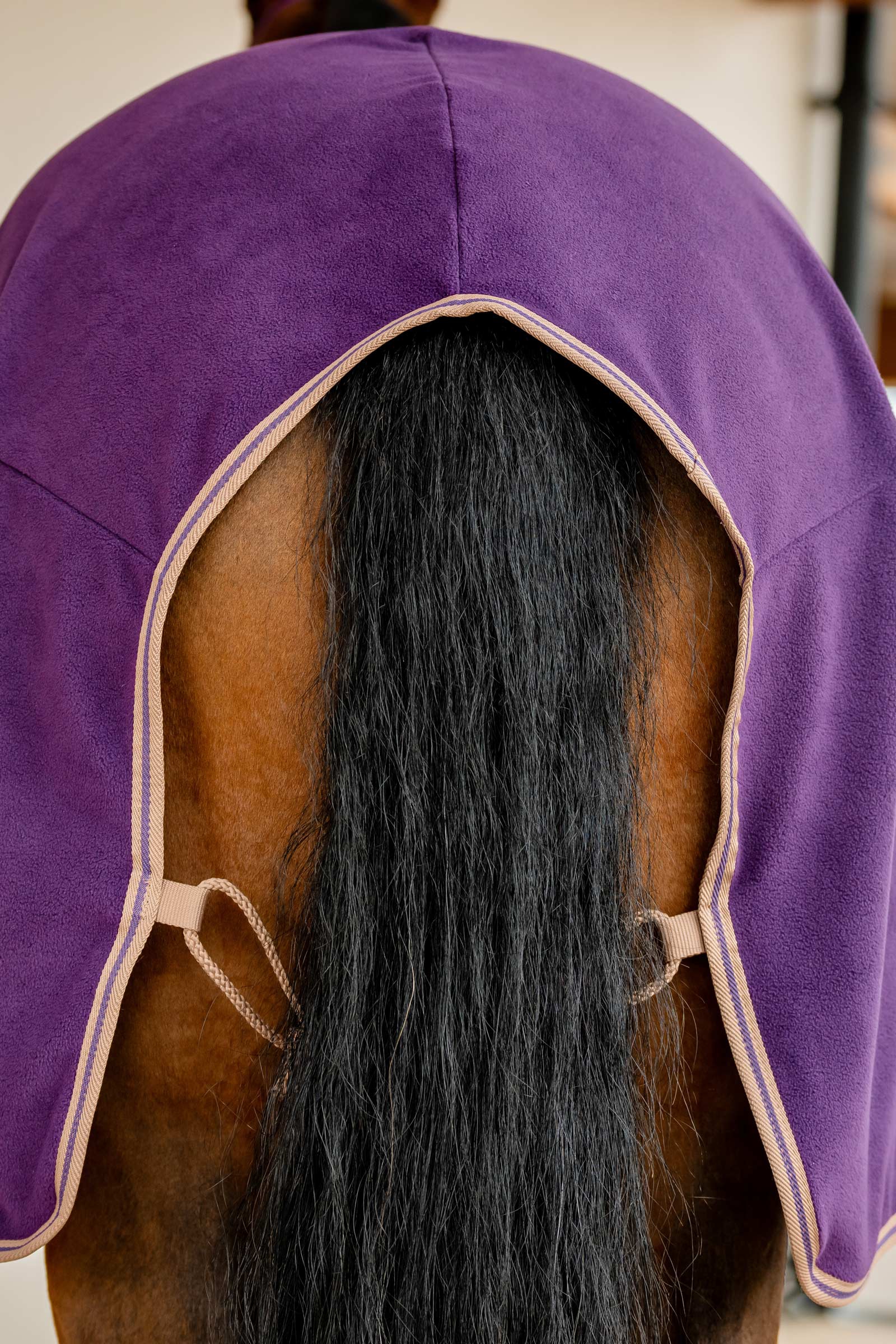 Horseware Amigo Coperta in Pile