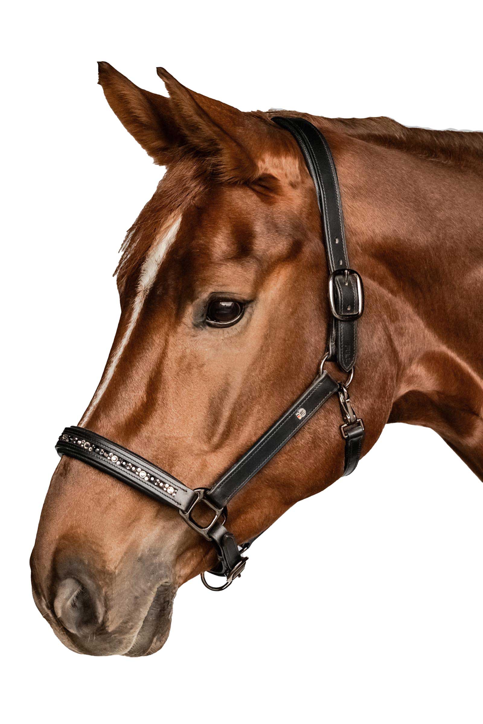 Waldhausen X-Line Crystal Cavezza in pelle