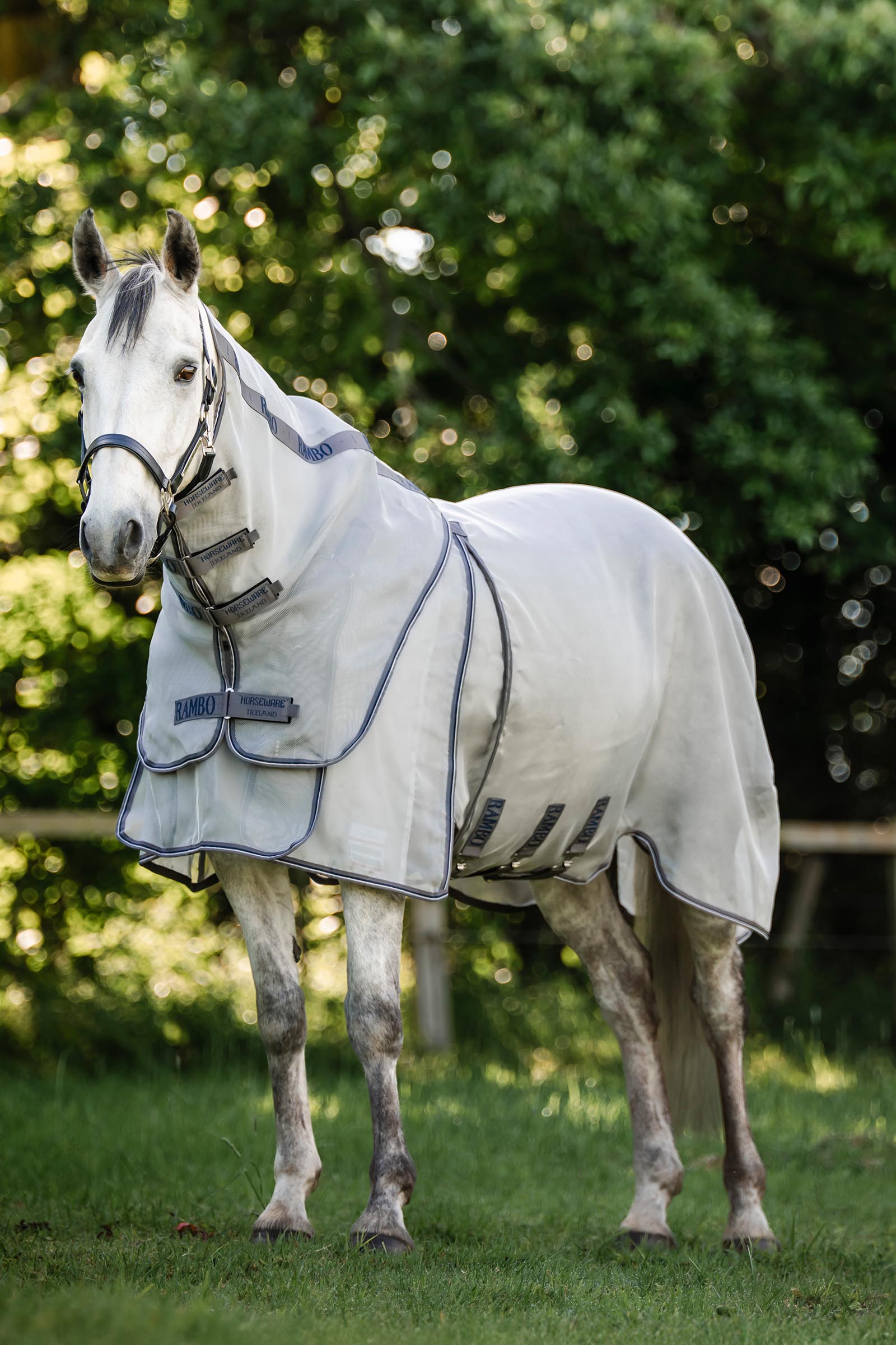 Horseware Rambo Optimo Protector Plus coperta