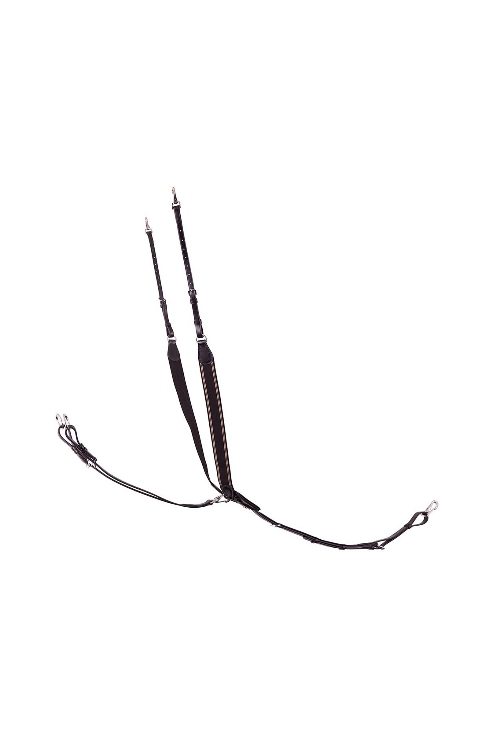 BR Taunton pettorale elastico con martingala rimovibile