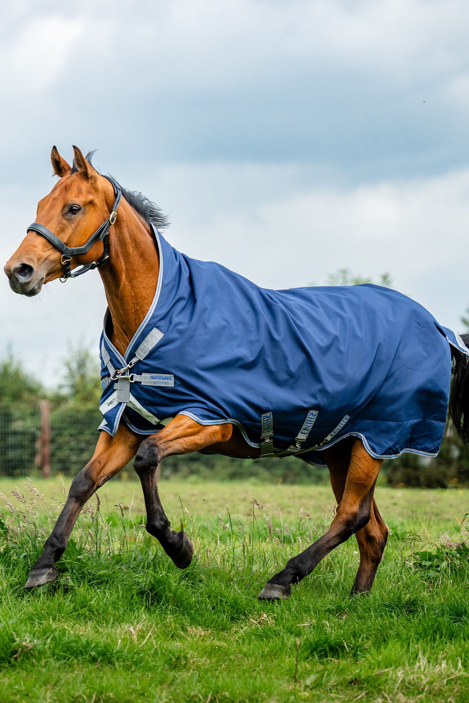 Navy/Titanium Grey & Classic Blue Horseware Rhino Wug coperta da paddock, 100 g