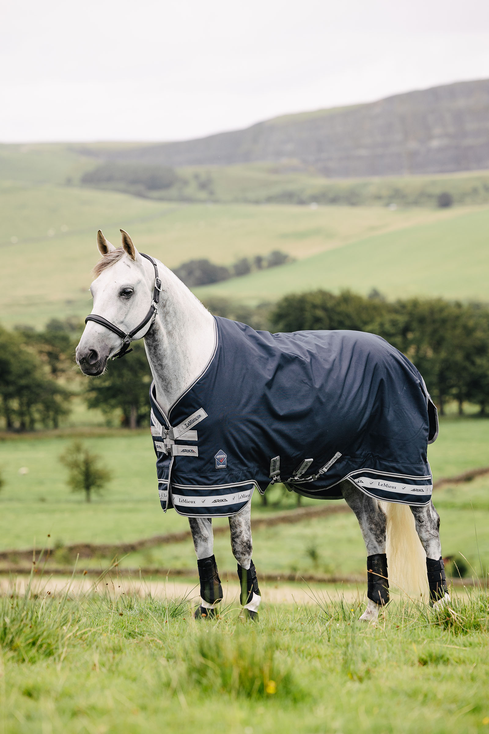 LeMieux Arika Storm-Tek coperta 50g