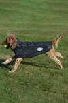 Weatherbeeta Comfitec Active Cappotto per cani con stampa riflettente