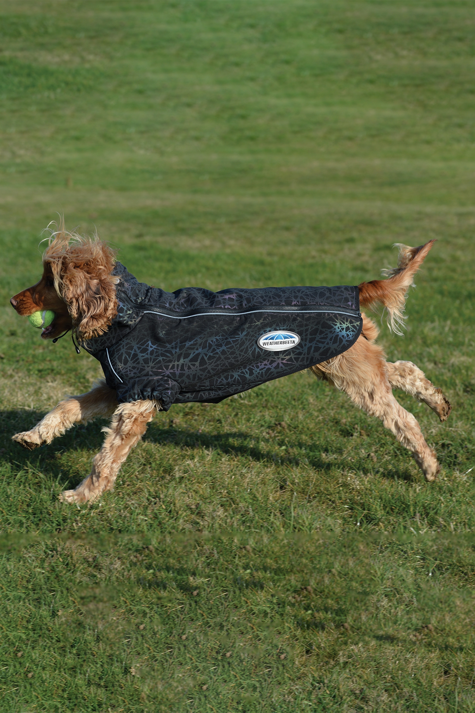 Weatherbeeta Comfitec Active Cappotto per cani con stampa riflettente