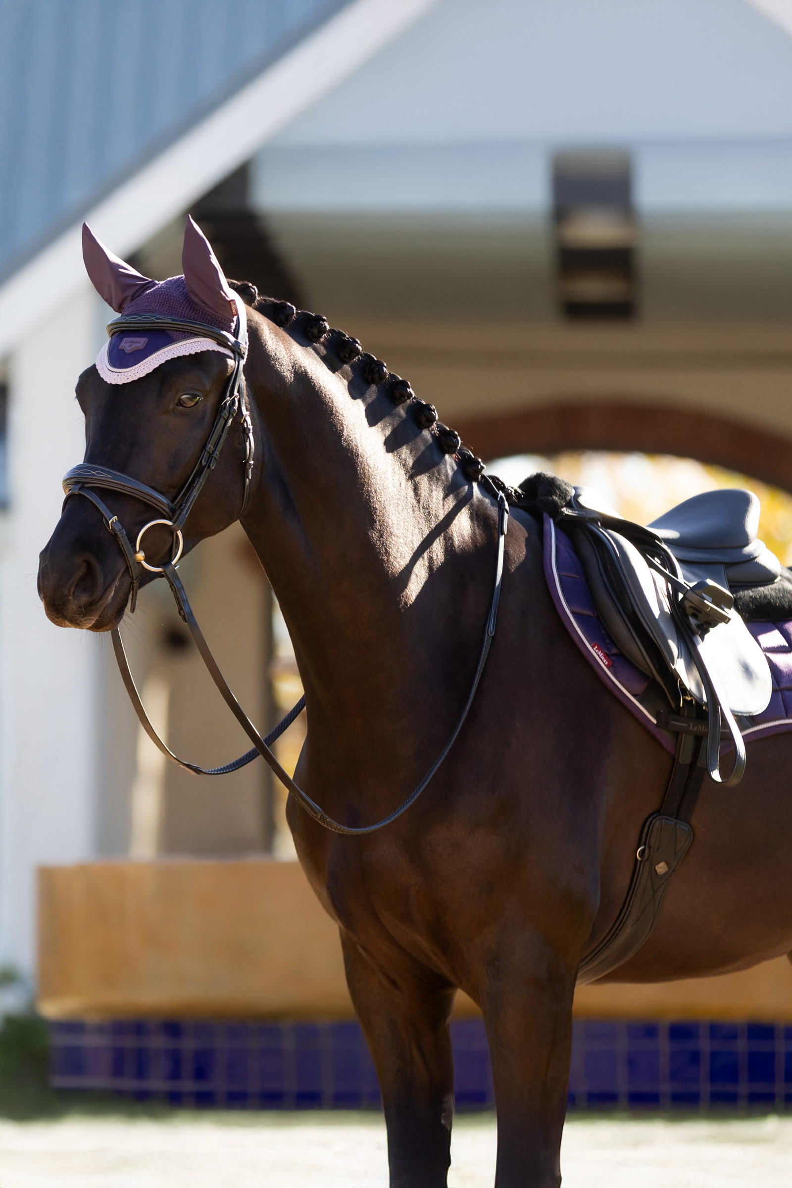 LeMieux Merino+ Loire sottosella classico Close Contact