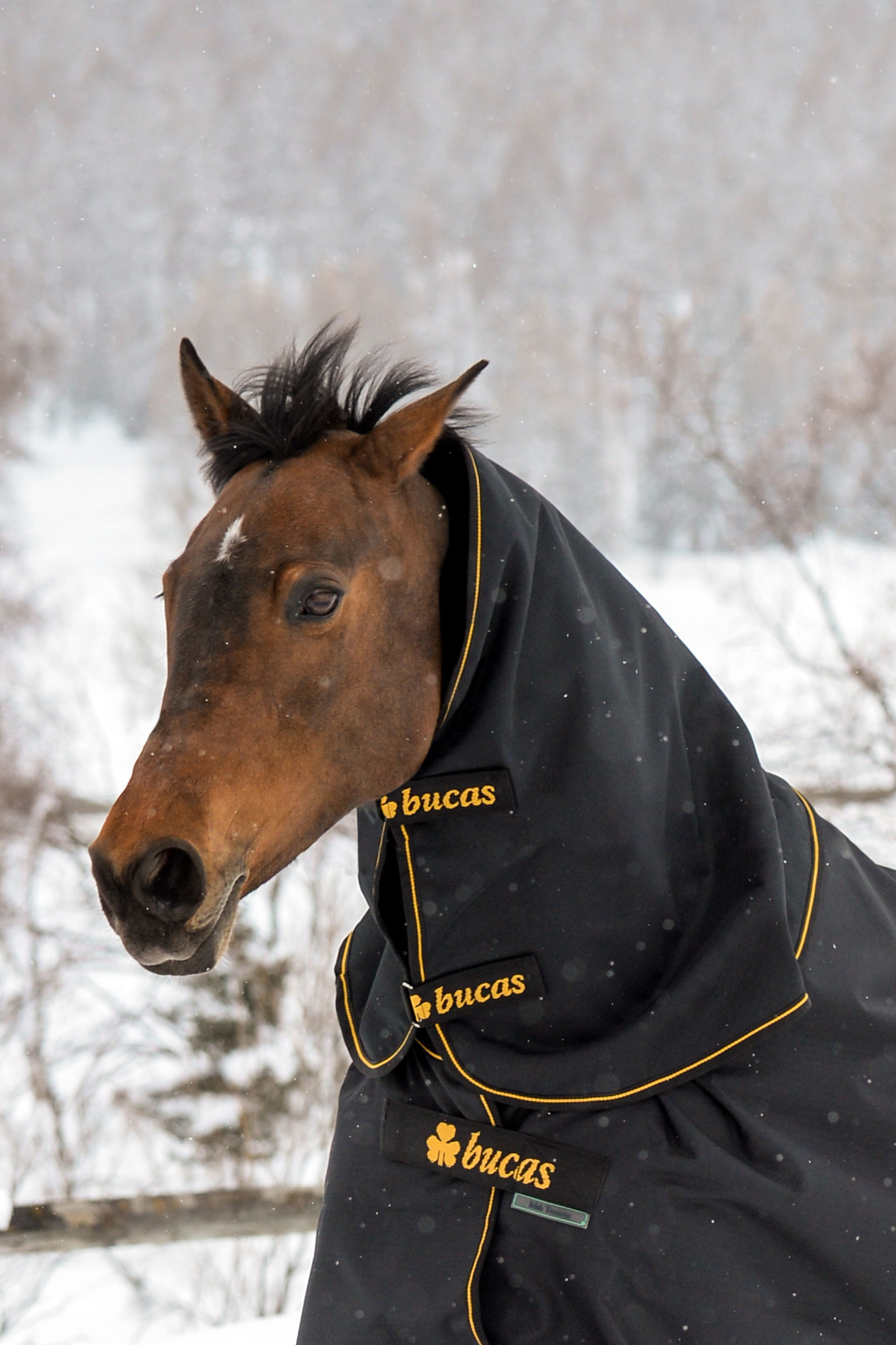 Bucas Irish Turnout colletto, 300g