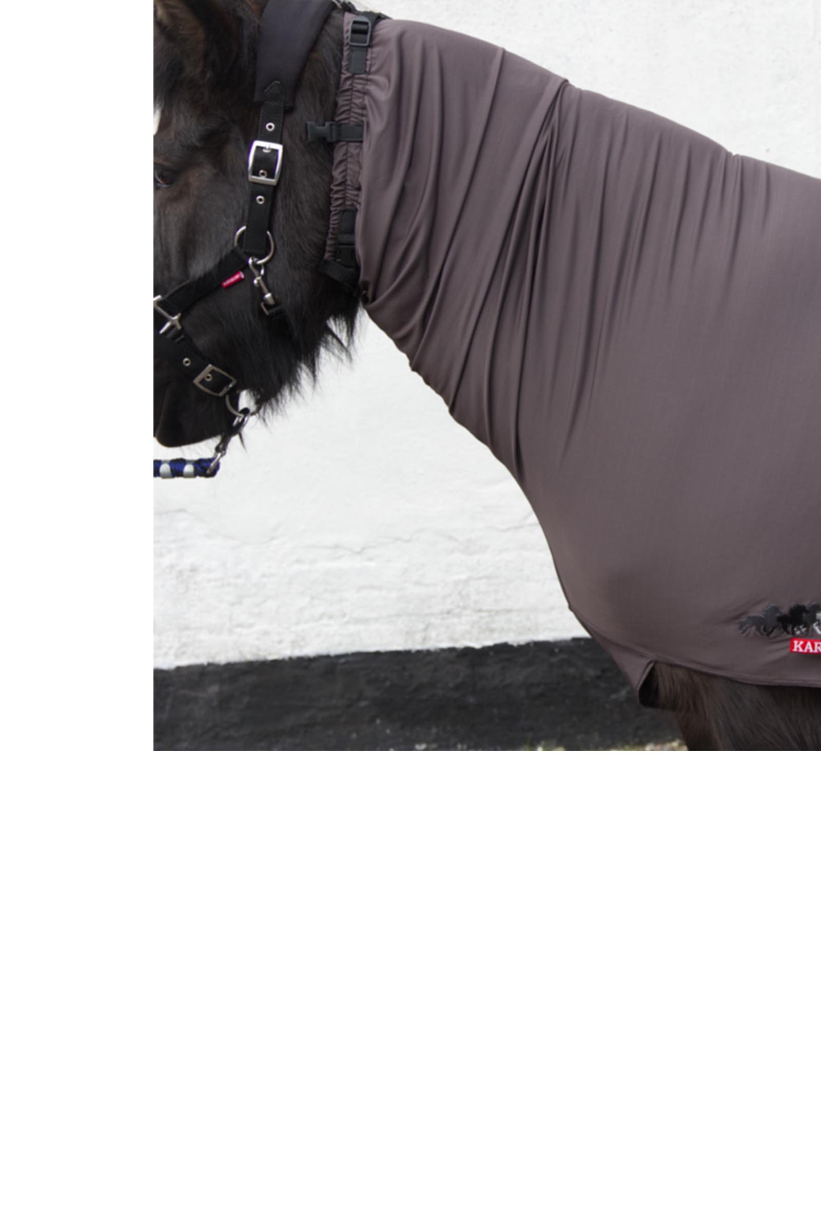 Karlslund Collo anti-eczema flessibile, 0g