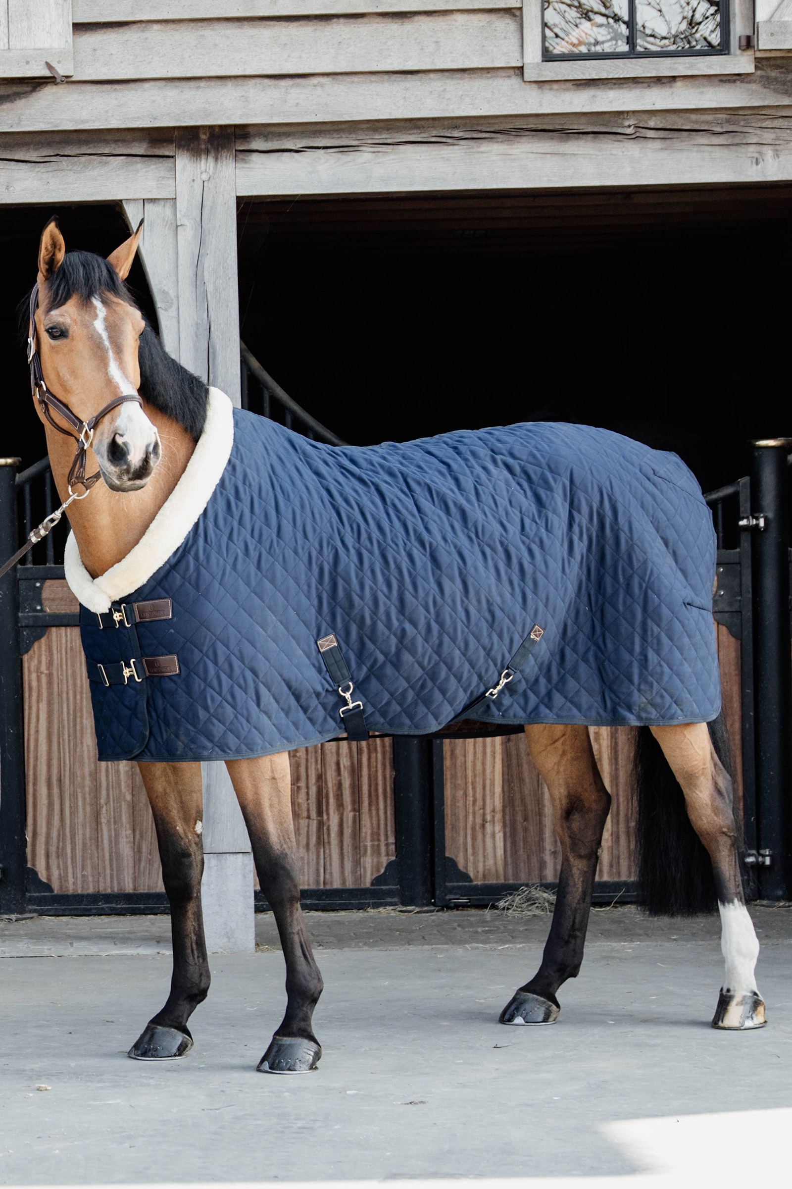 DB/AB Kentucky Horsewear Coperta da concorso, 160 gr