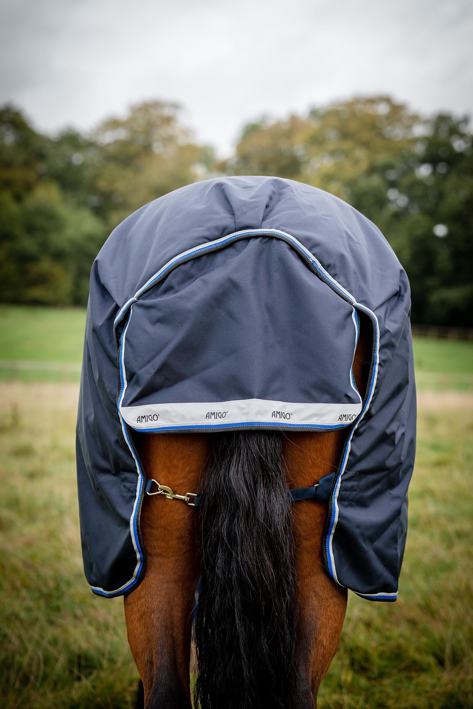 Horseware Amigo Bravo 12 Original coperta da turnout, 250g